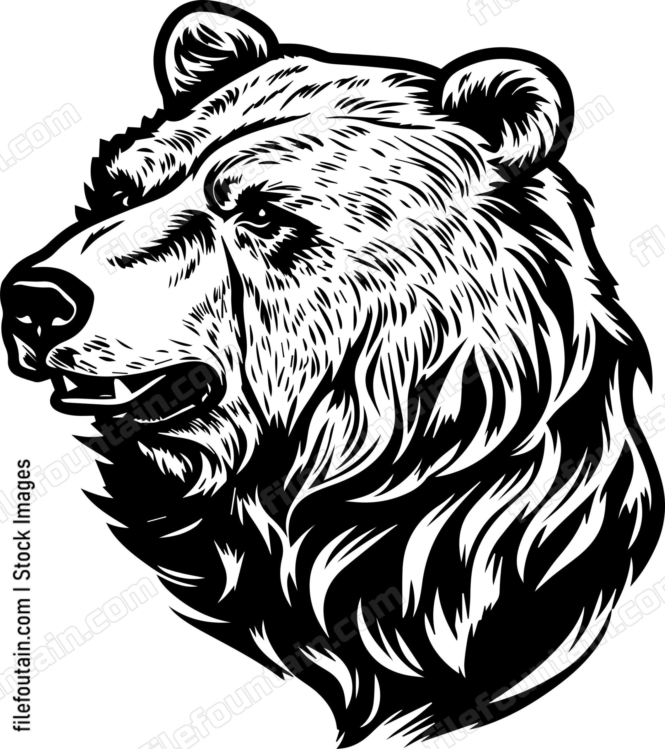 Grizzly Bear