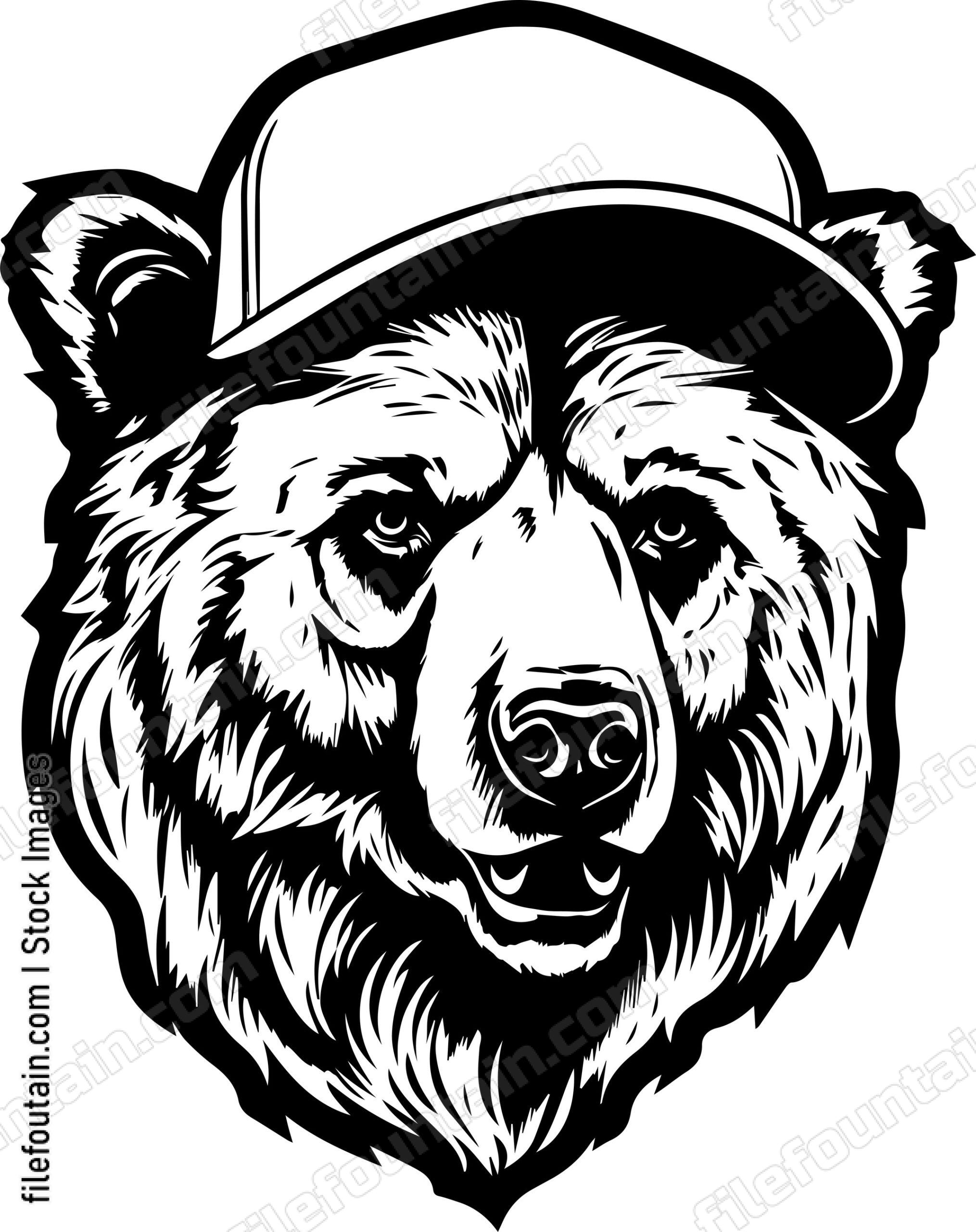 Grizzly Bear In Baseball Cap