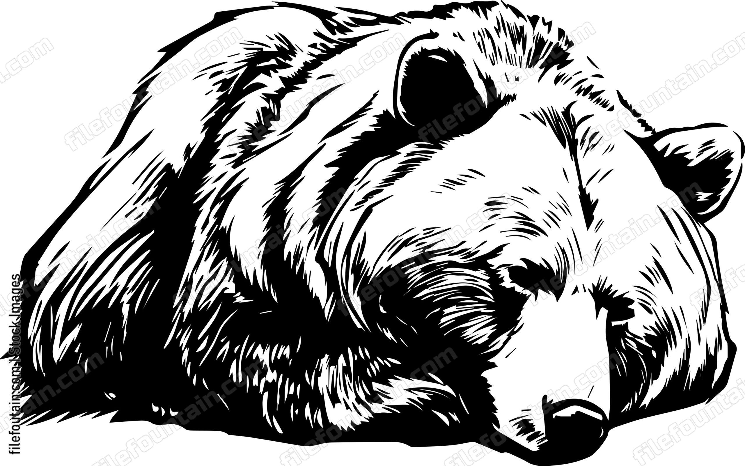 Grizzly Bear Sleeping