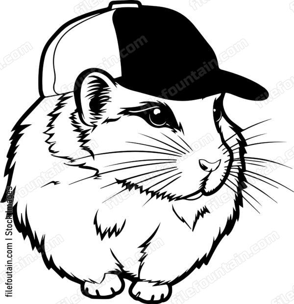 Hamster In Baseball Cap