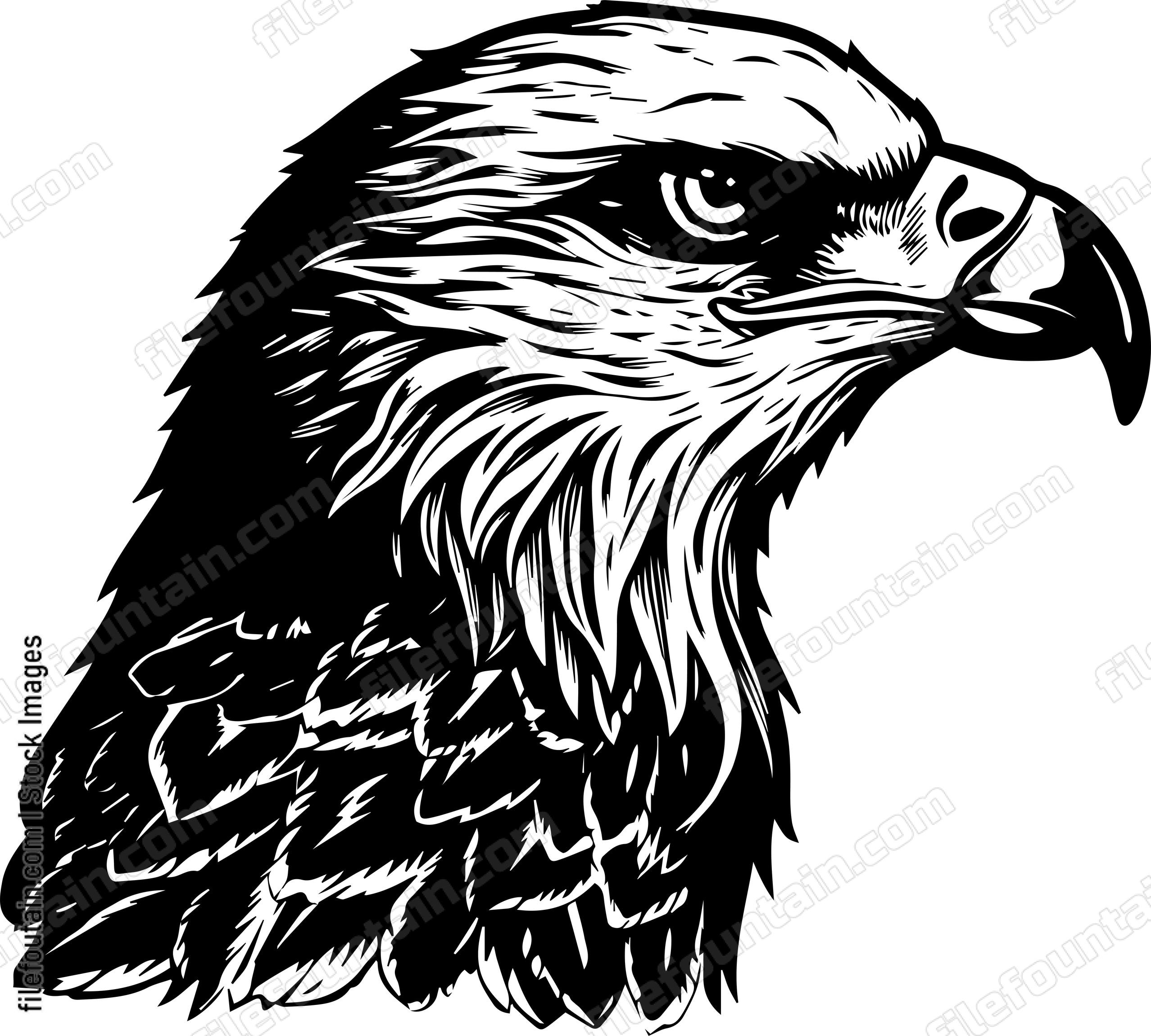 Hawk
