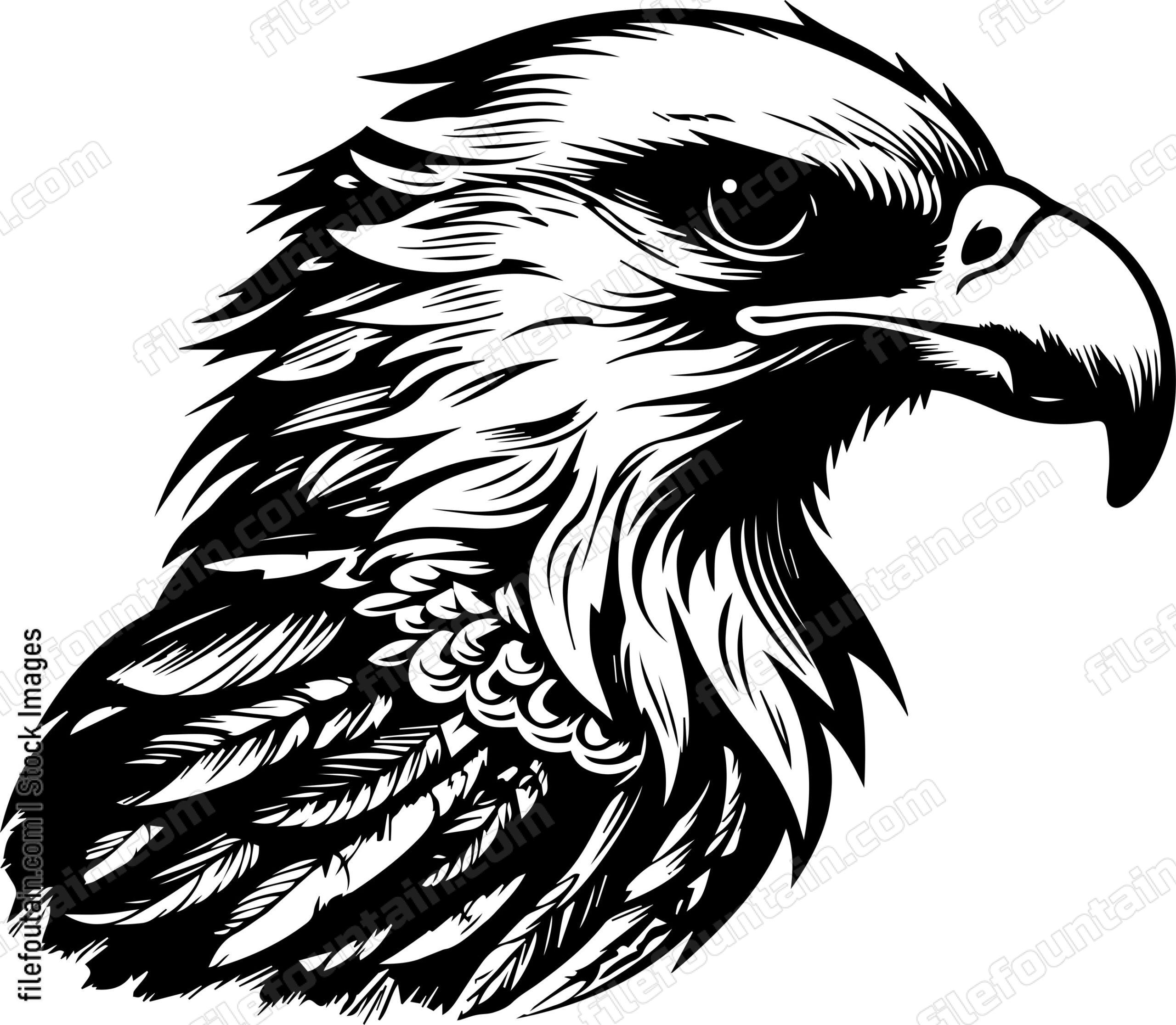 Hawk
