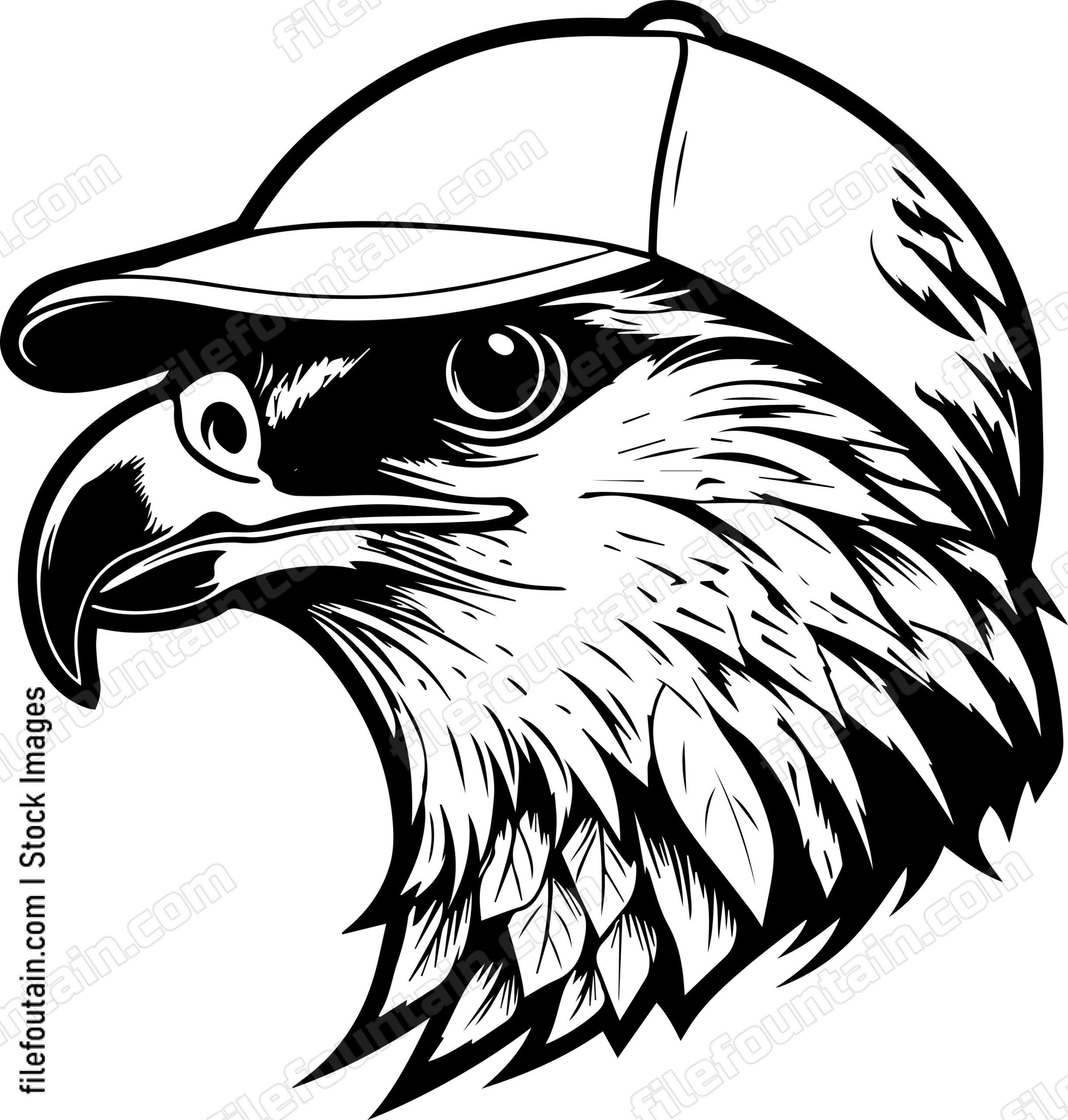 Hawk In Baseball Cap