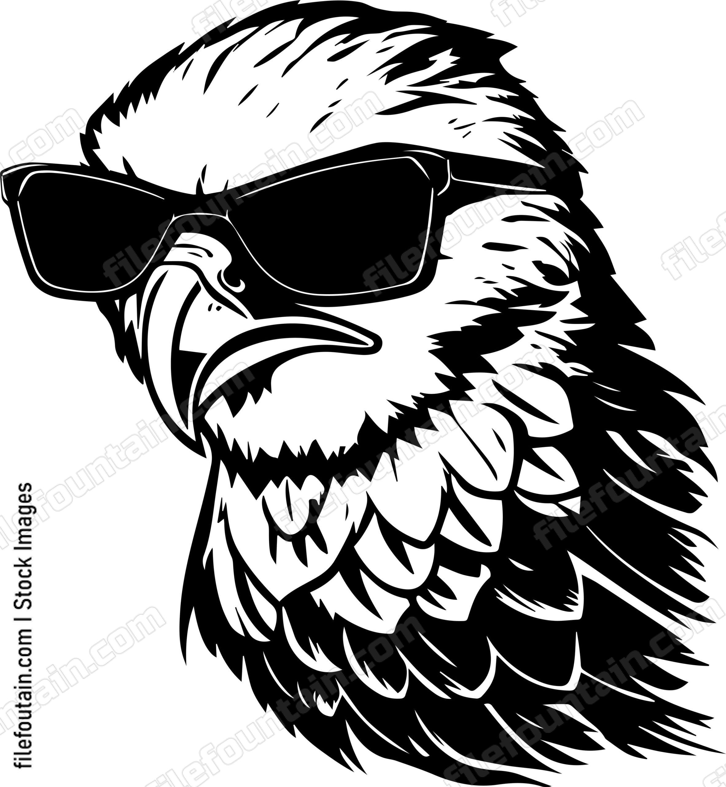 Hawk In Sunglasses