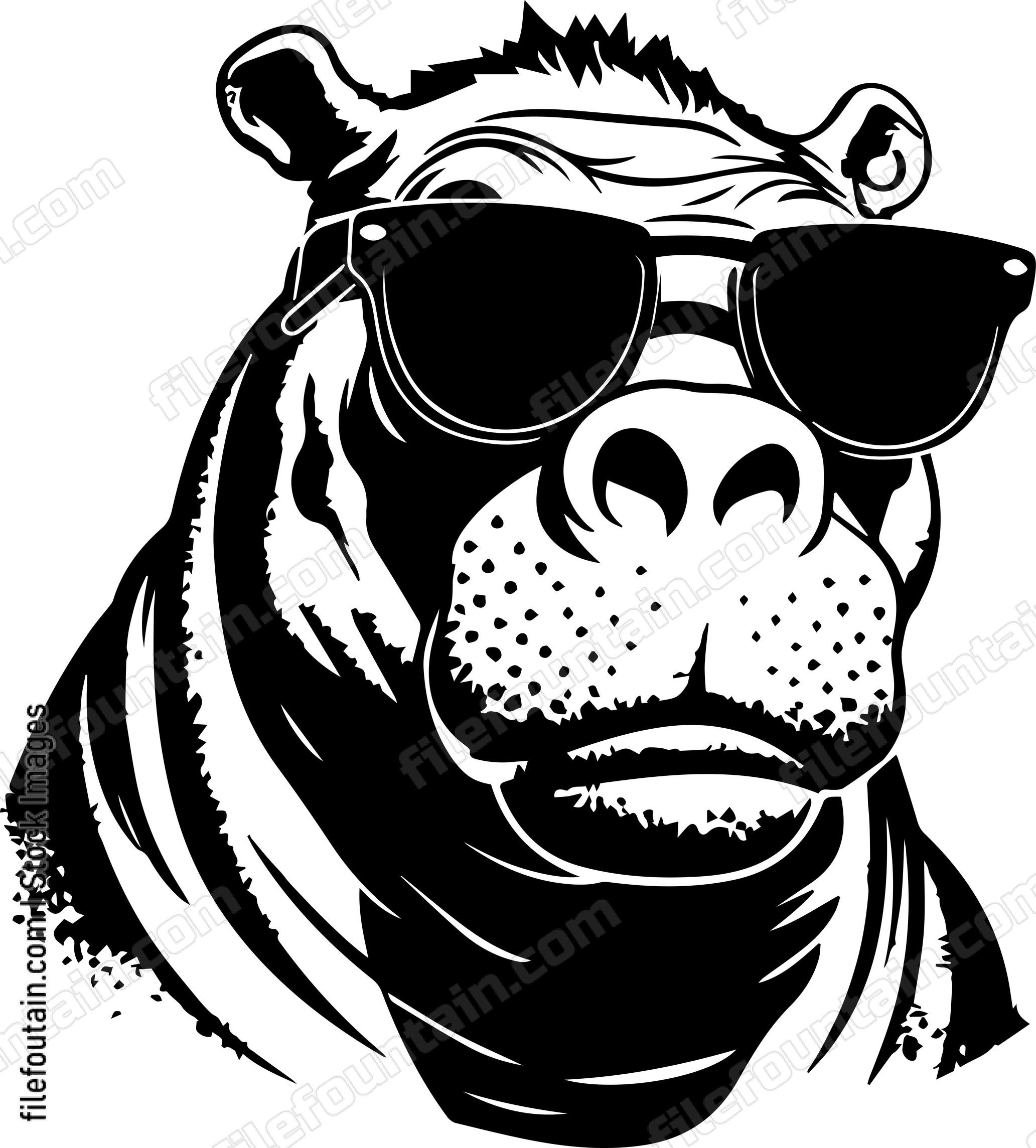 Hippo In Sunglasses