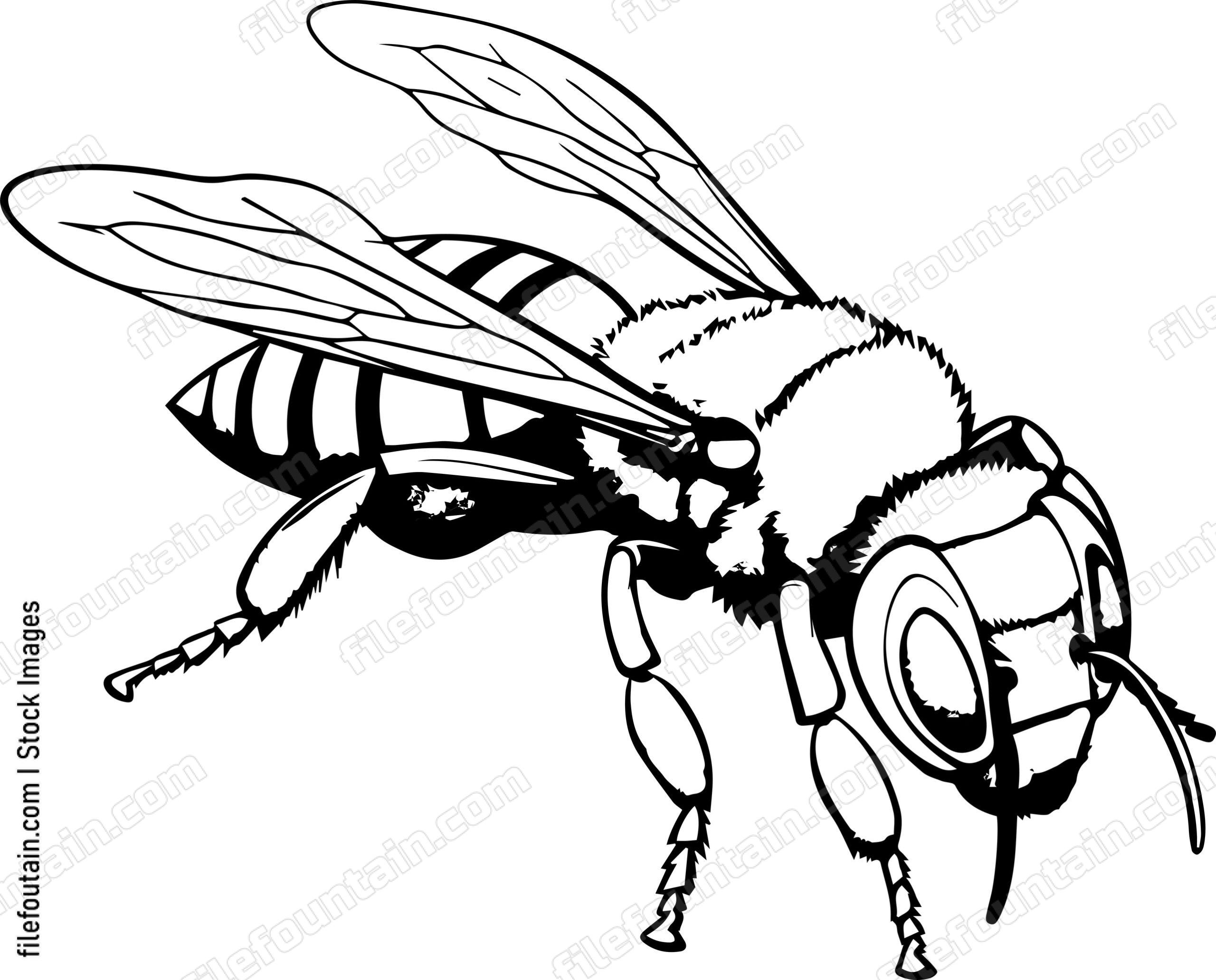 Hornet Sleeping
