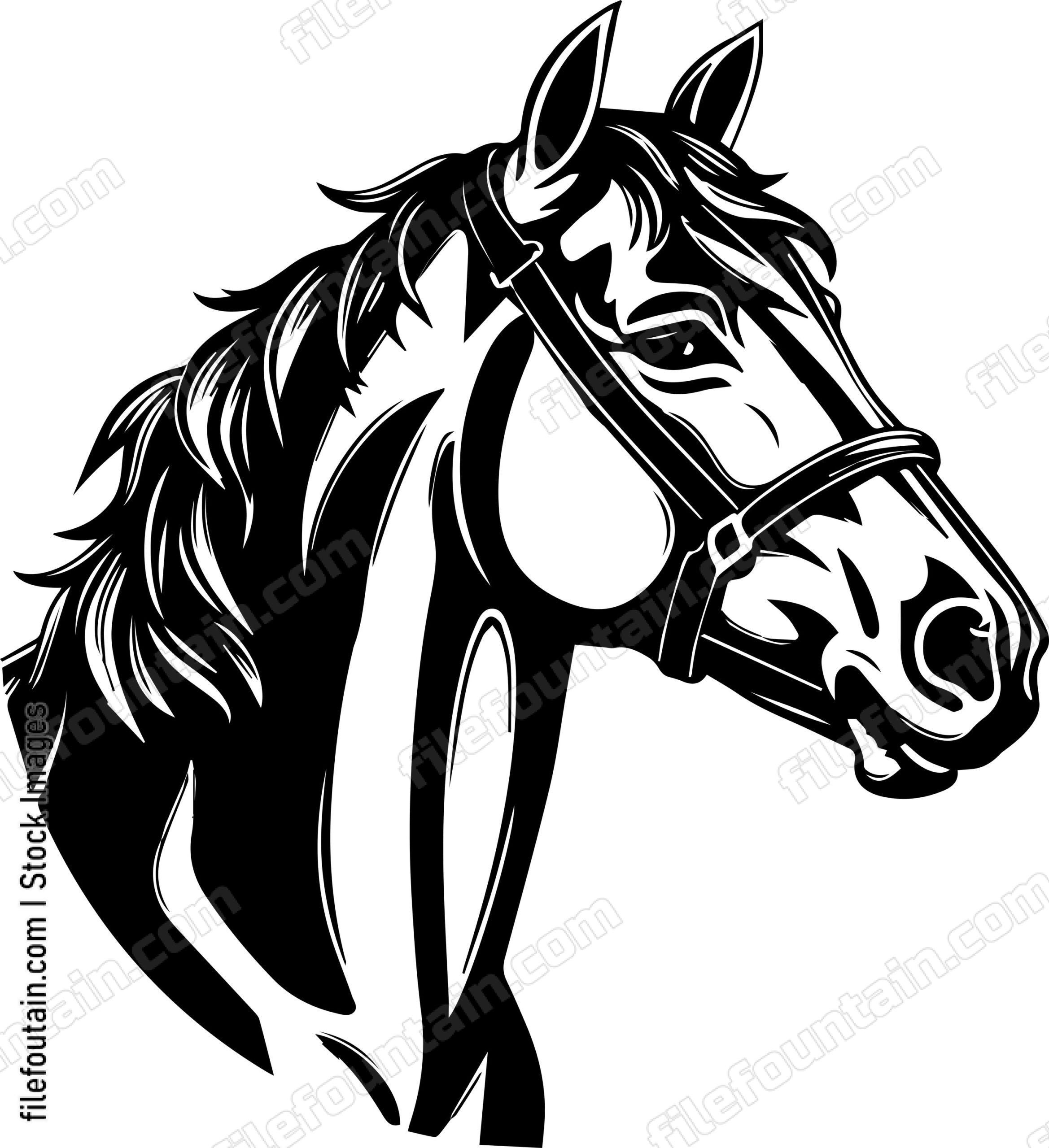 Horse Smoking A Cigar