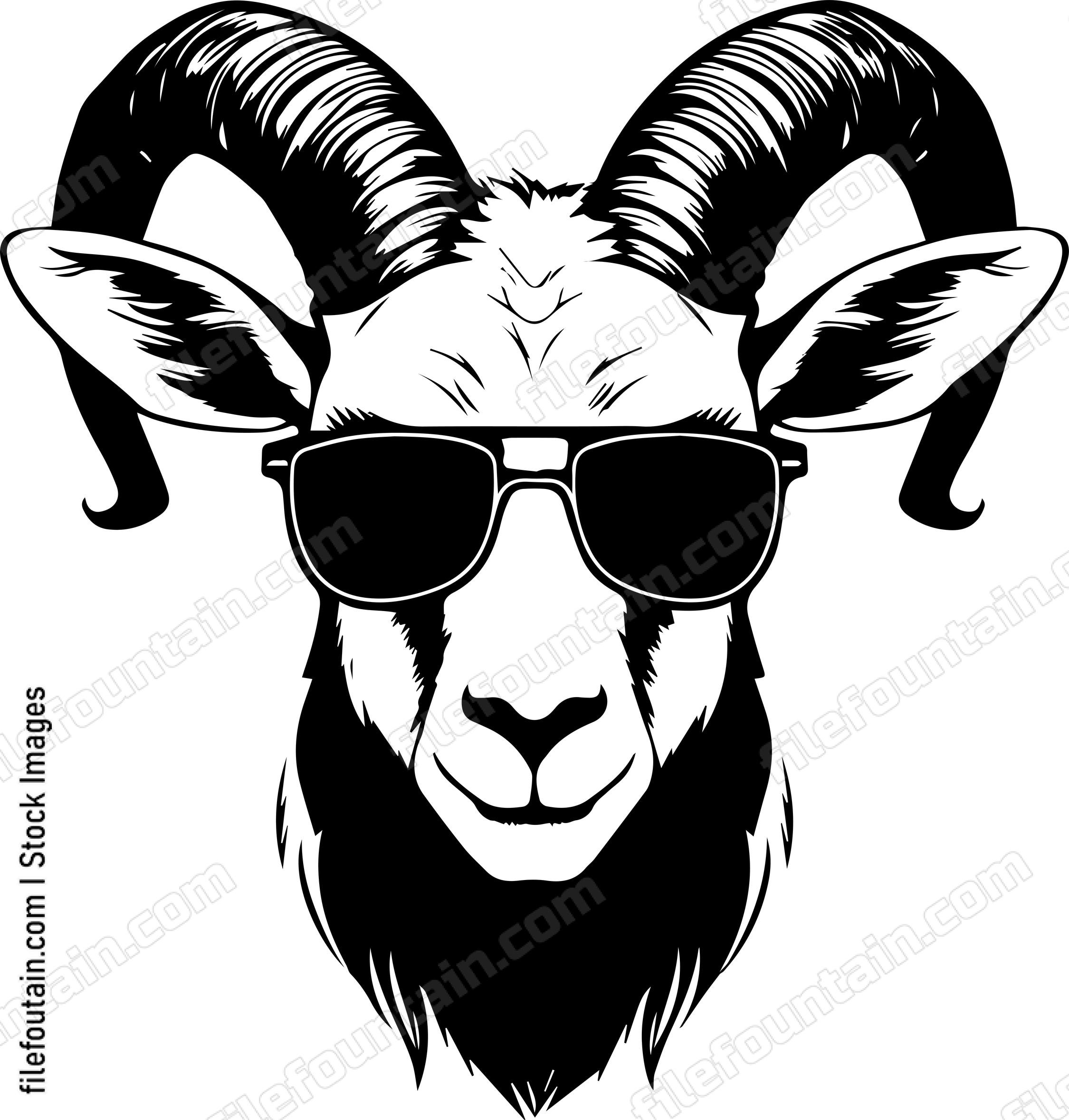 Ibex In Sunglasses