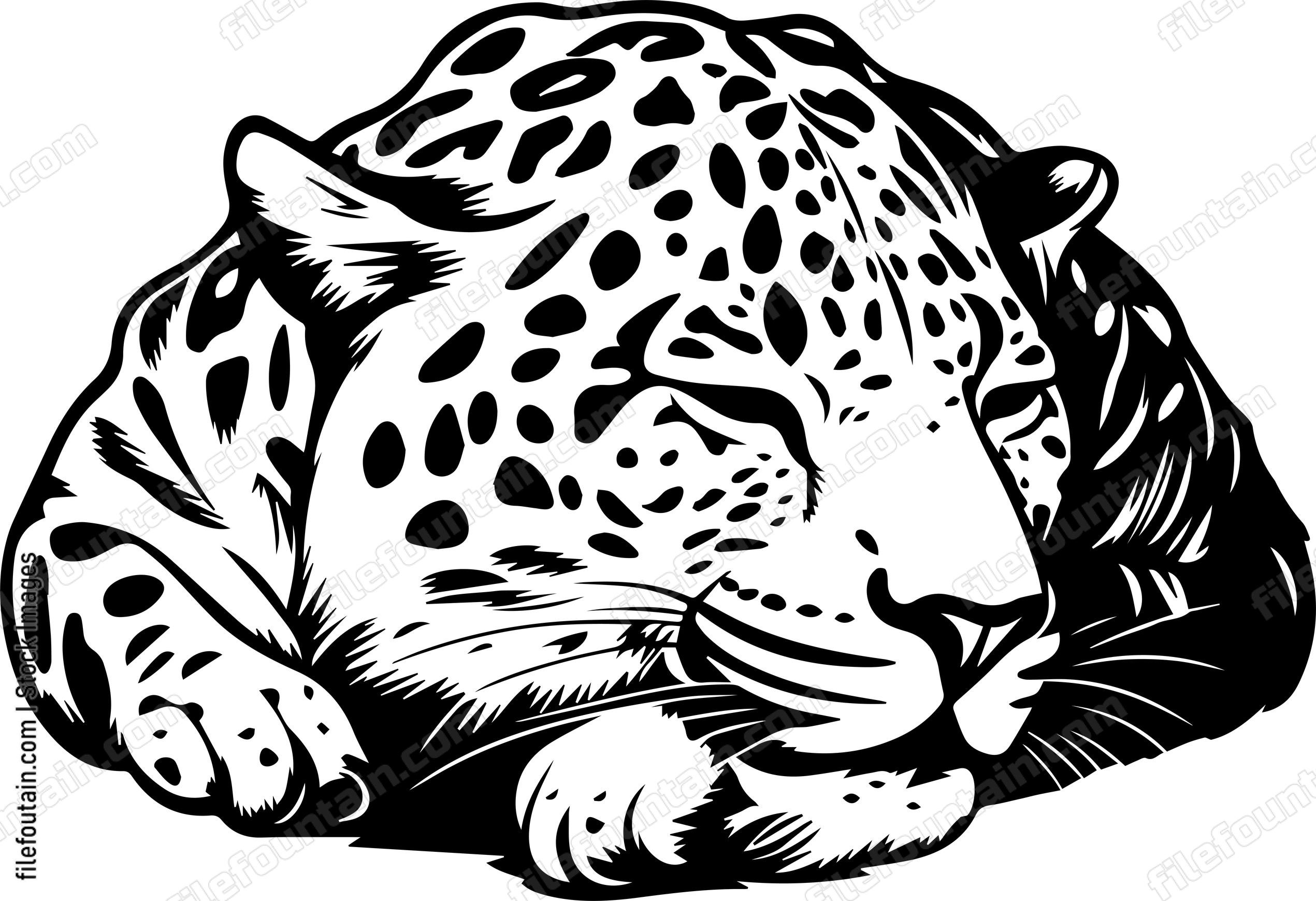 Jaguar Sleeping