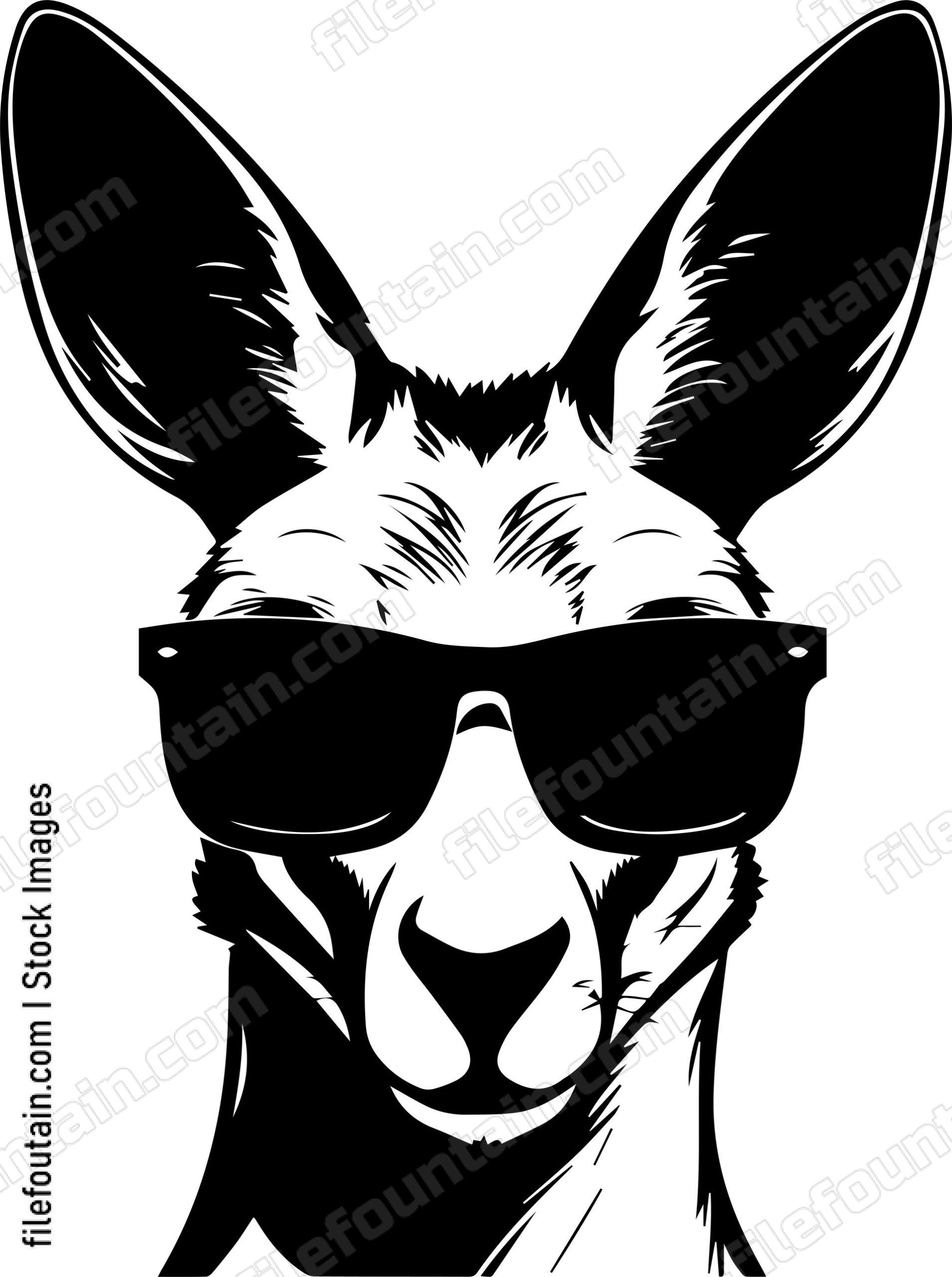 Kangaroo In Sunglasses