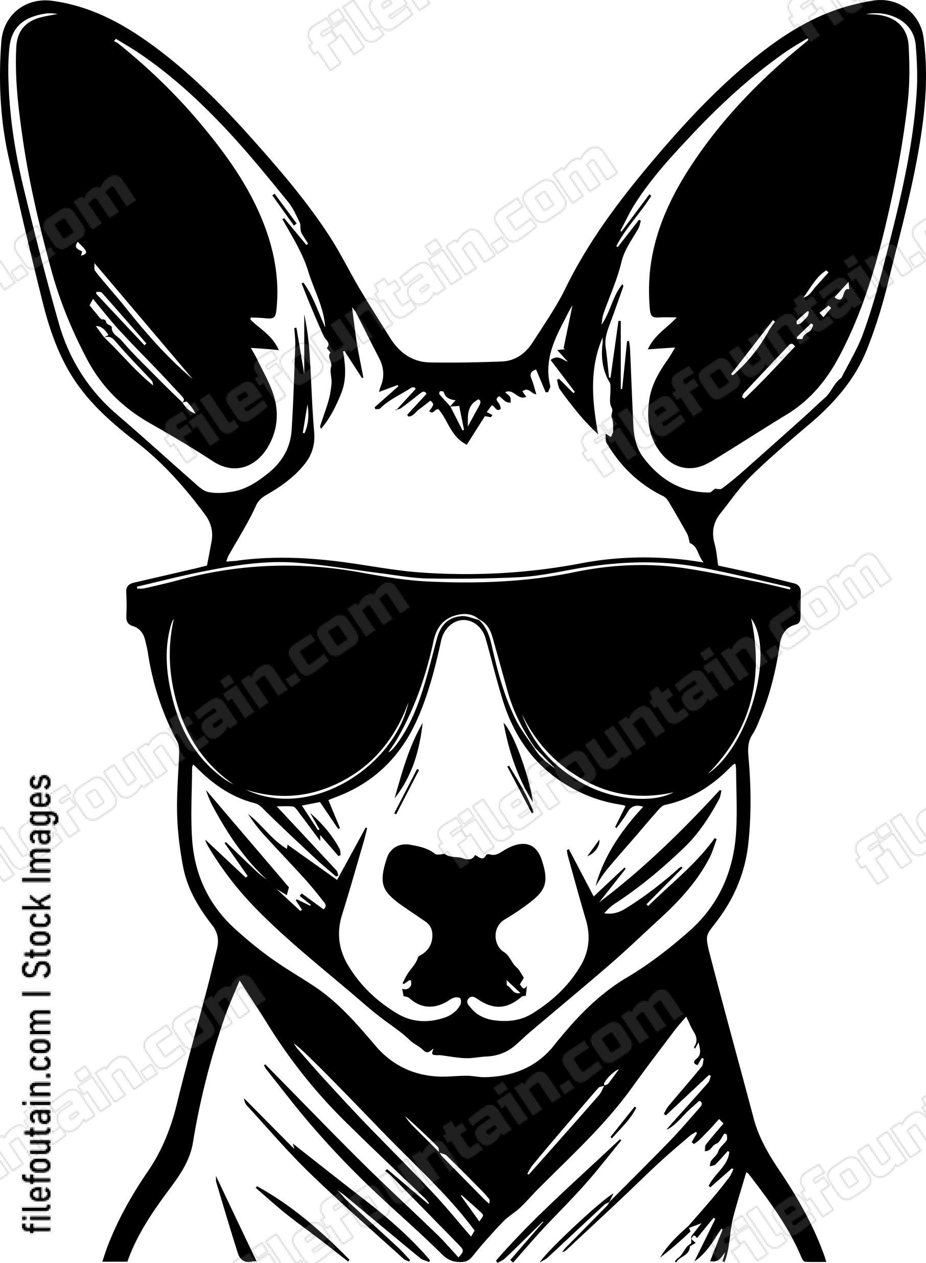 Kangaroo In Sunglasses
