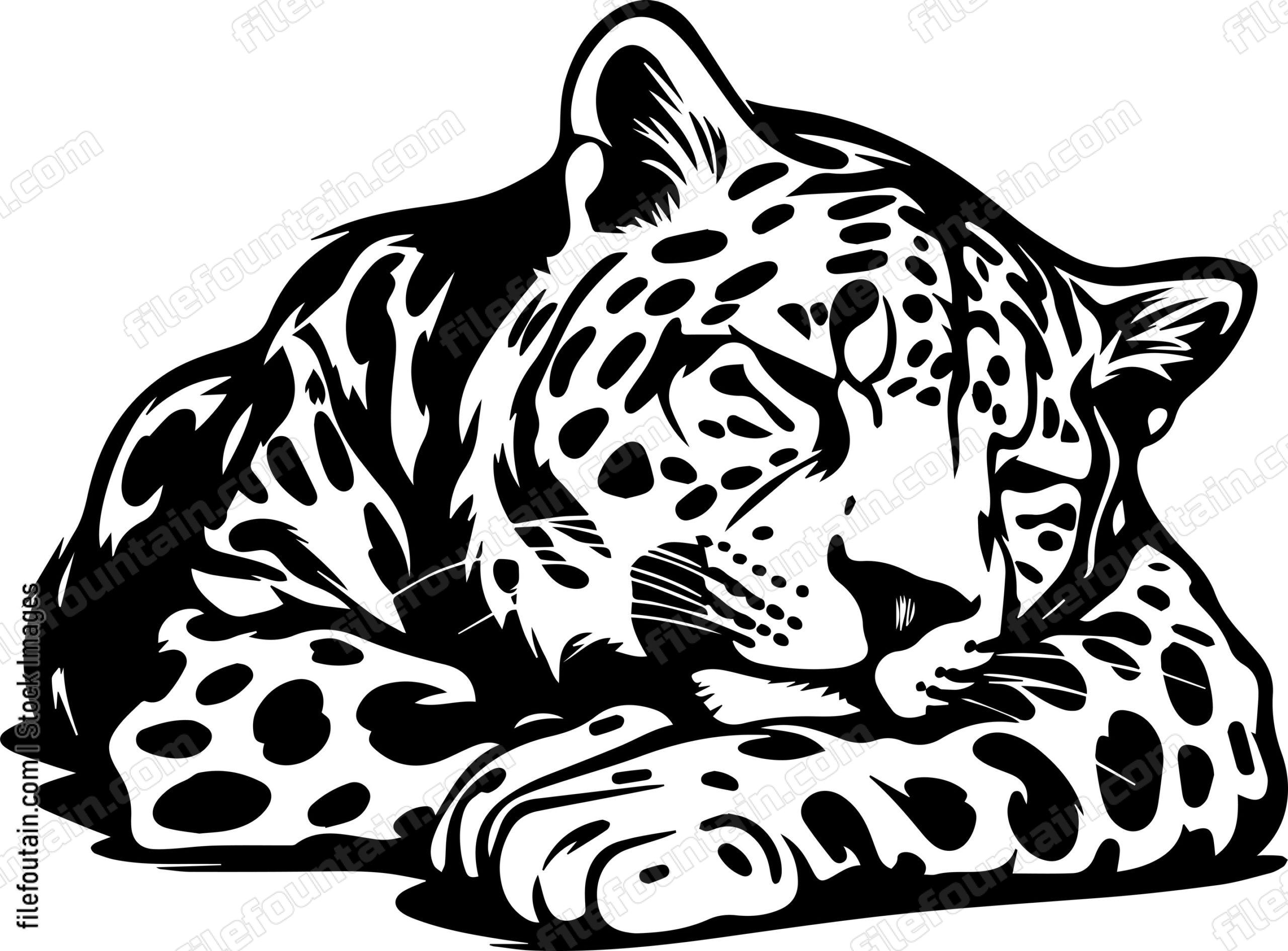 Leopard Sleeping