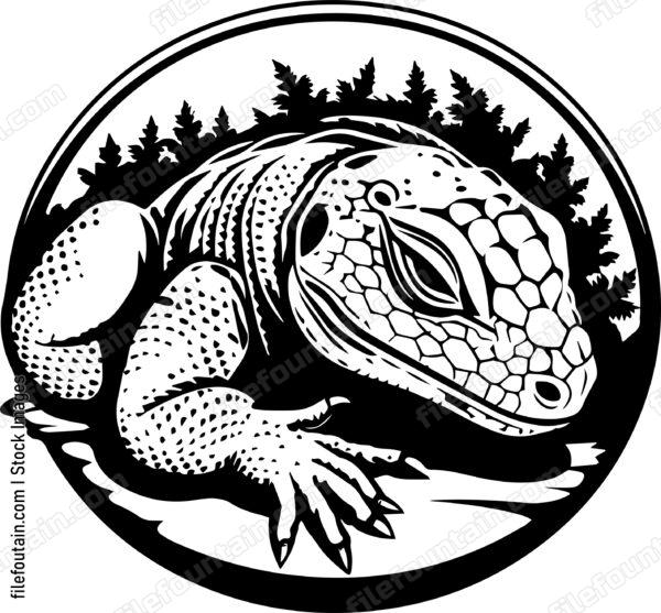 Lizard
