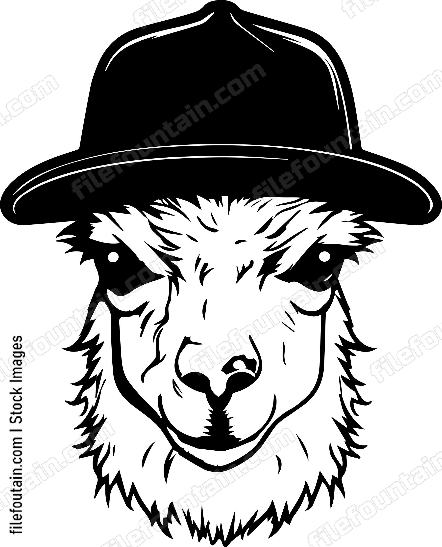 llama In Baseball Cap