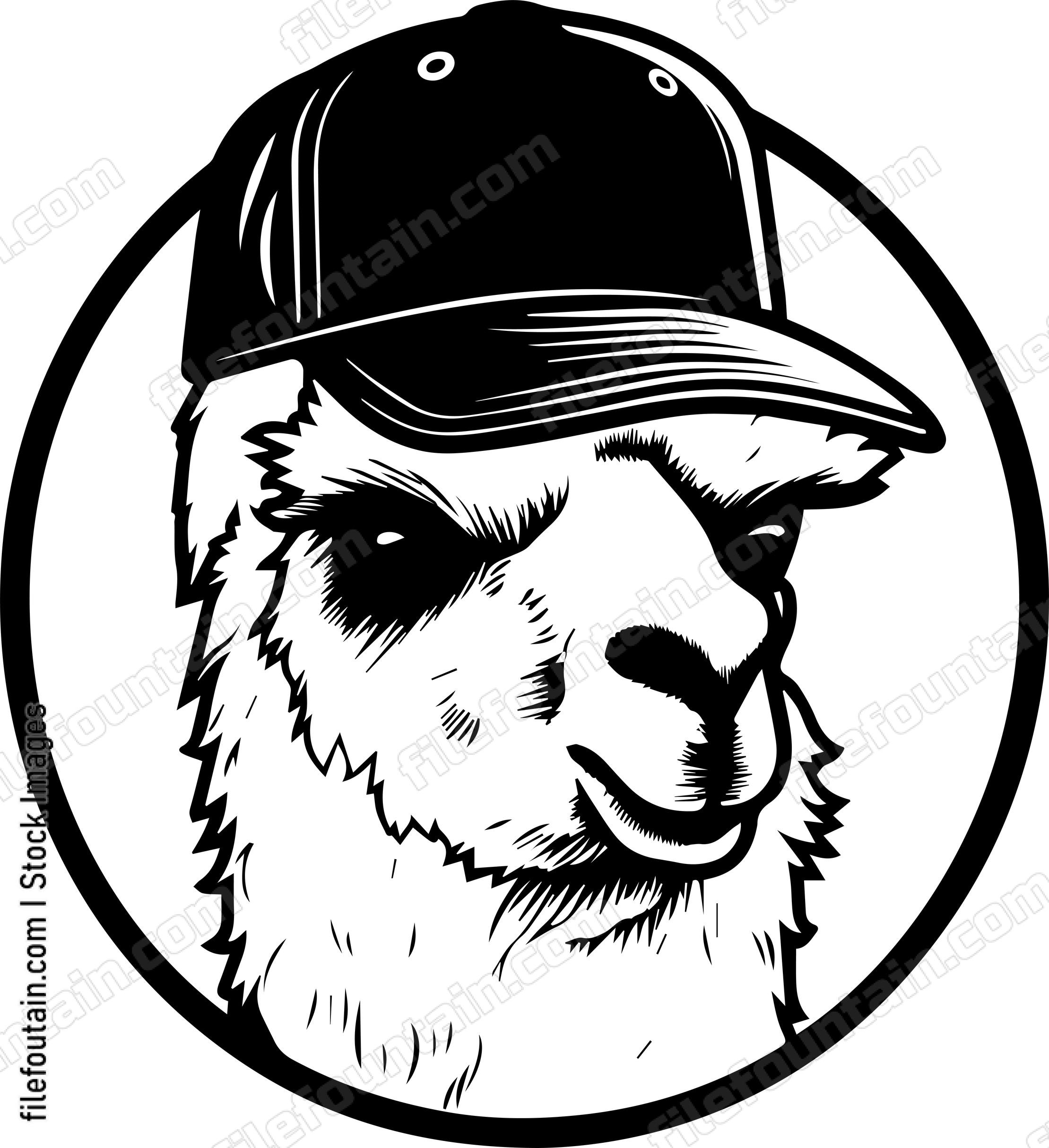 llama In Baseball Cap