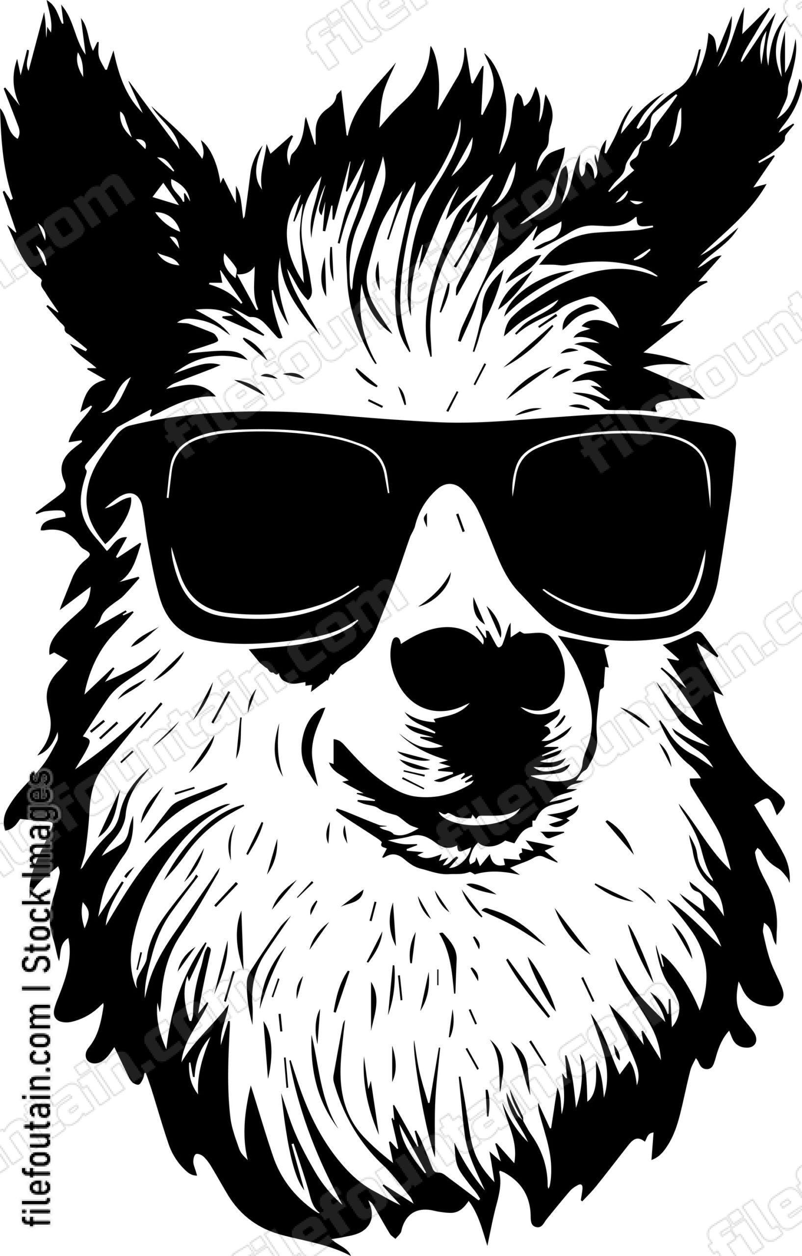 llama In Sunglasses