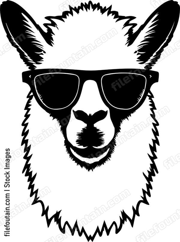 llama In Sunglasses