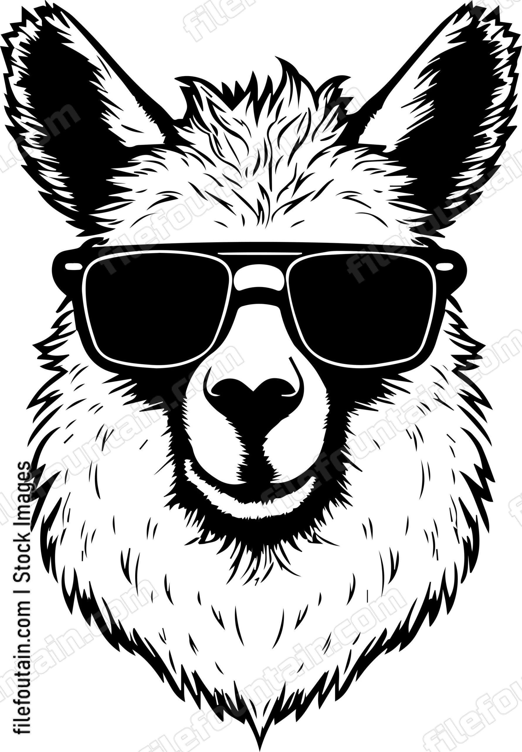 llama In Sunglasses