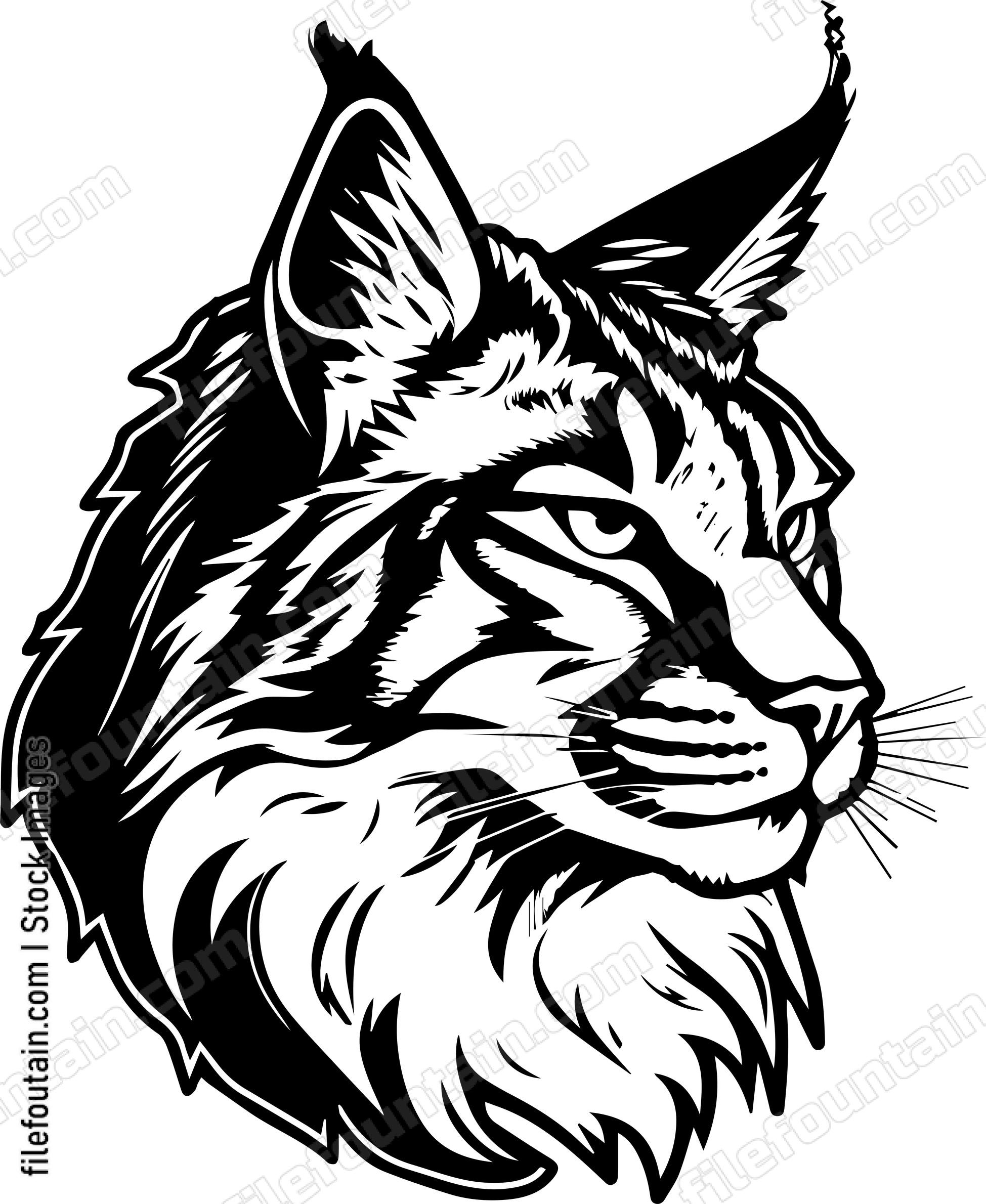 Lynx