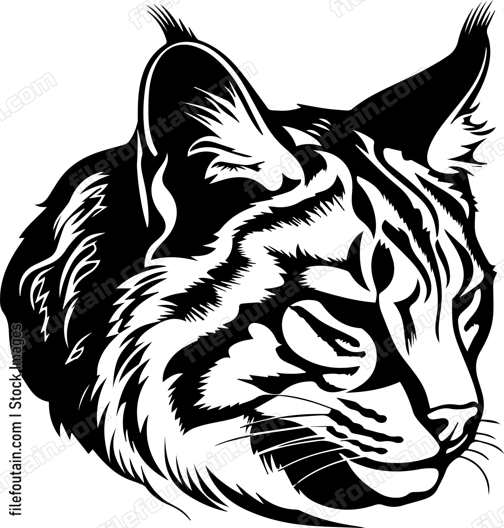 Lynx