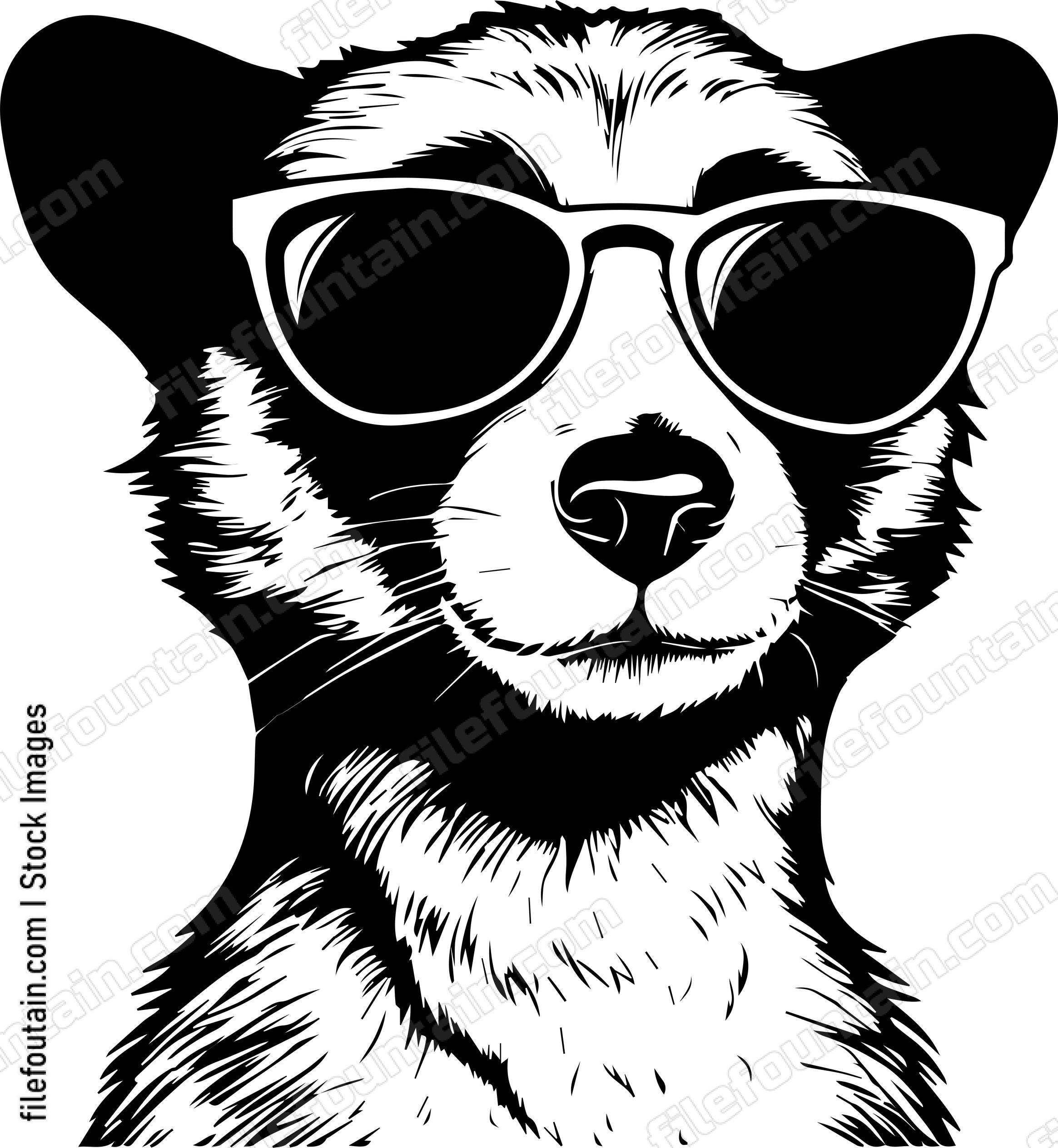 Meerkat In Sunglasses