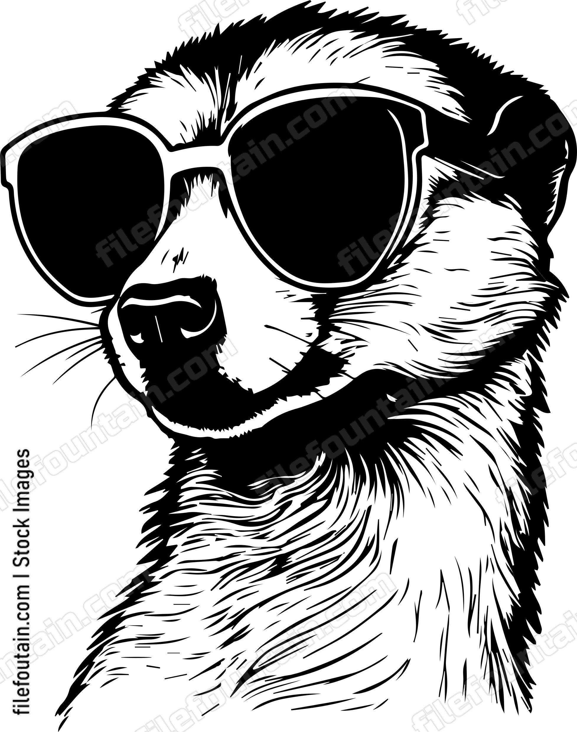 Meerkat In Sunglasses