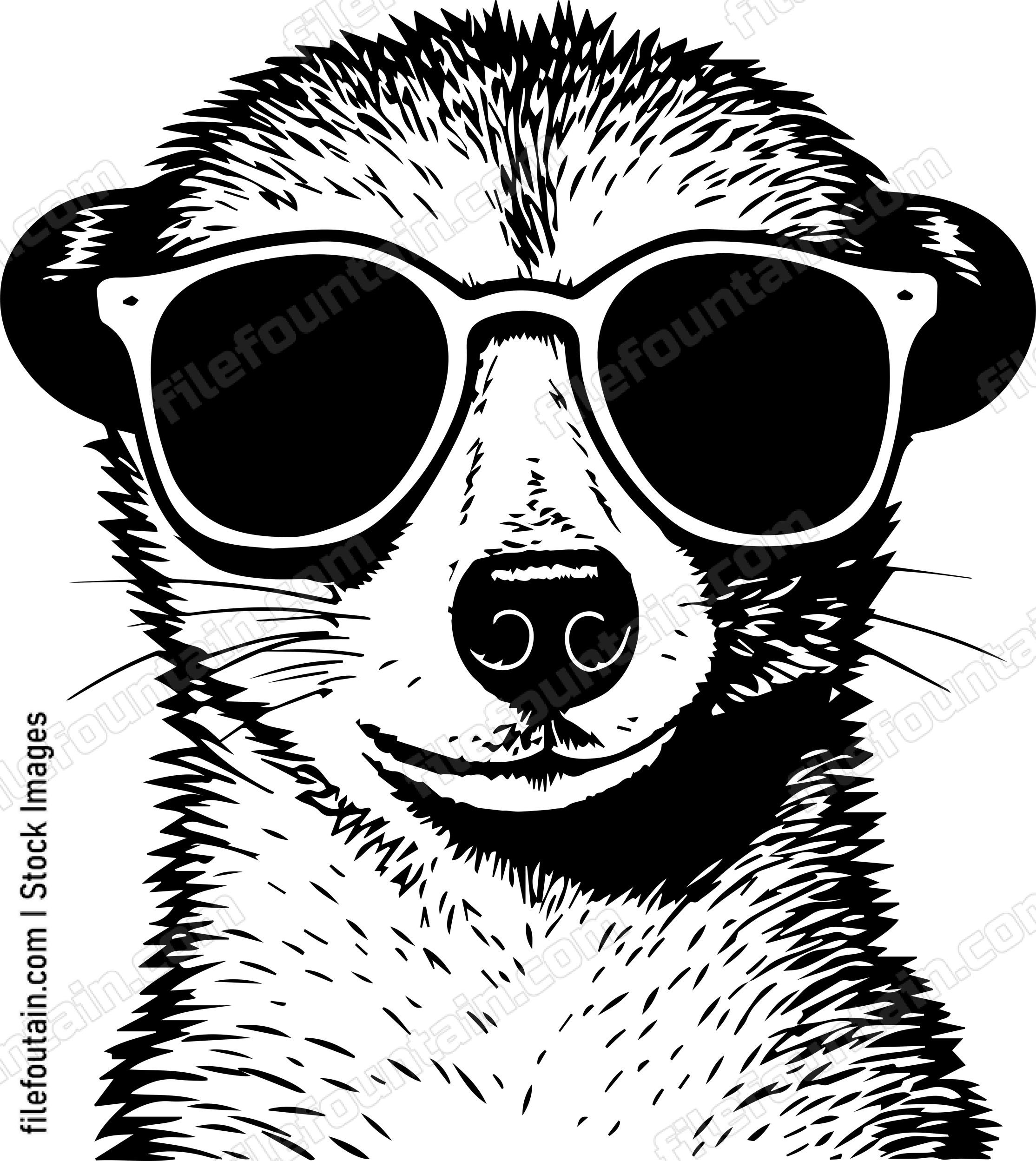 Meerkat In Sunglasses