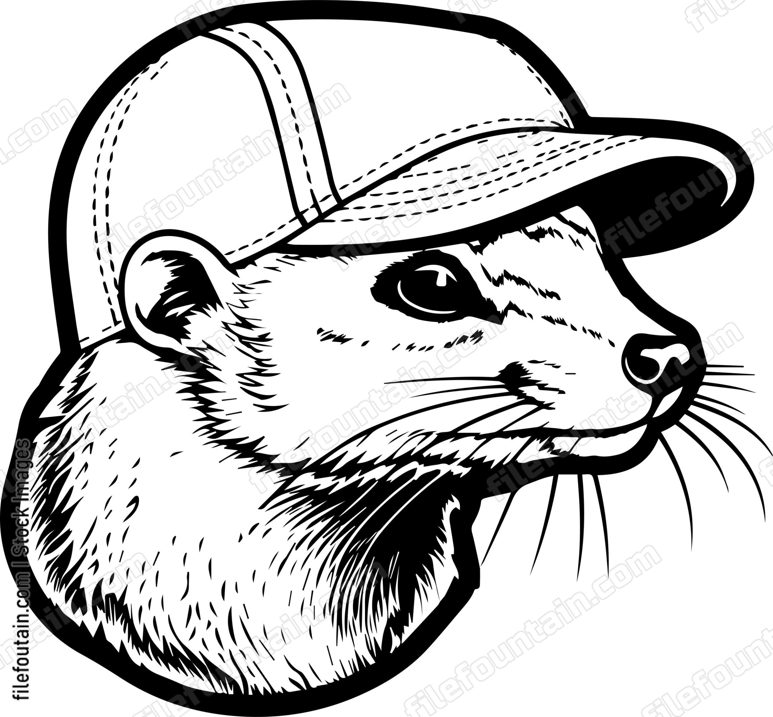 Mongoose In Baseball Cap