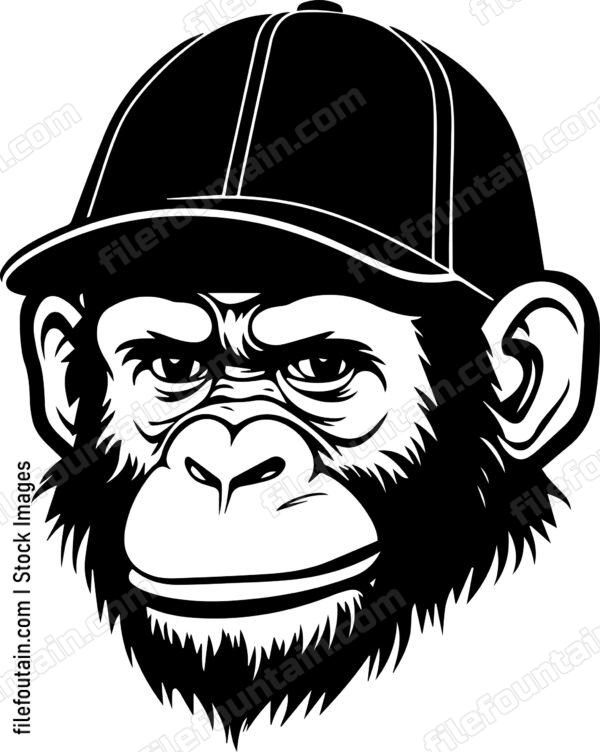 Monkey In Baseball Cap