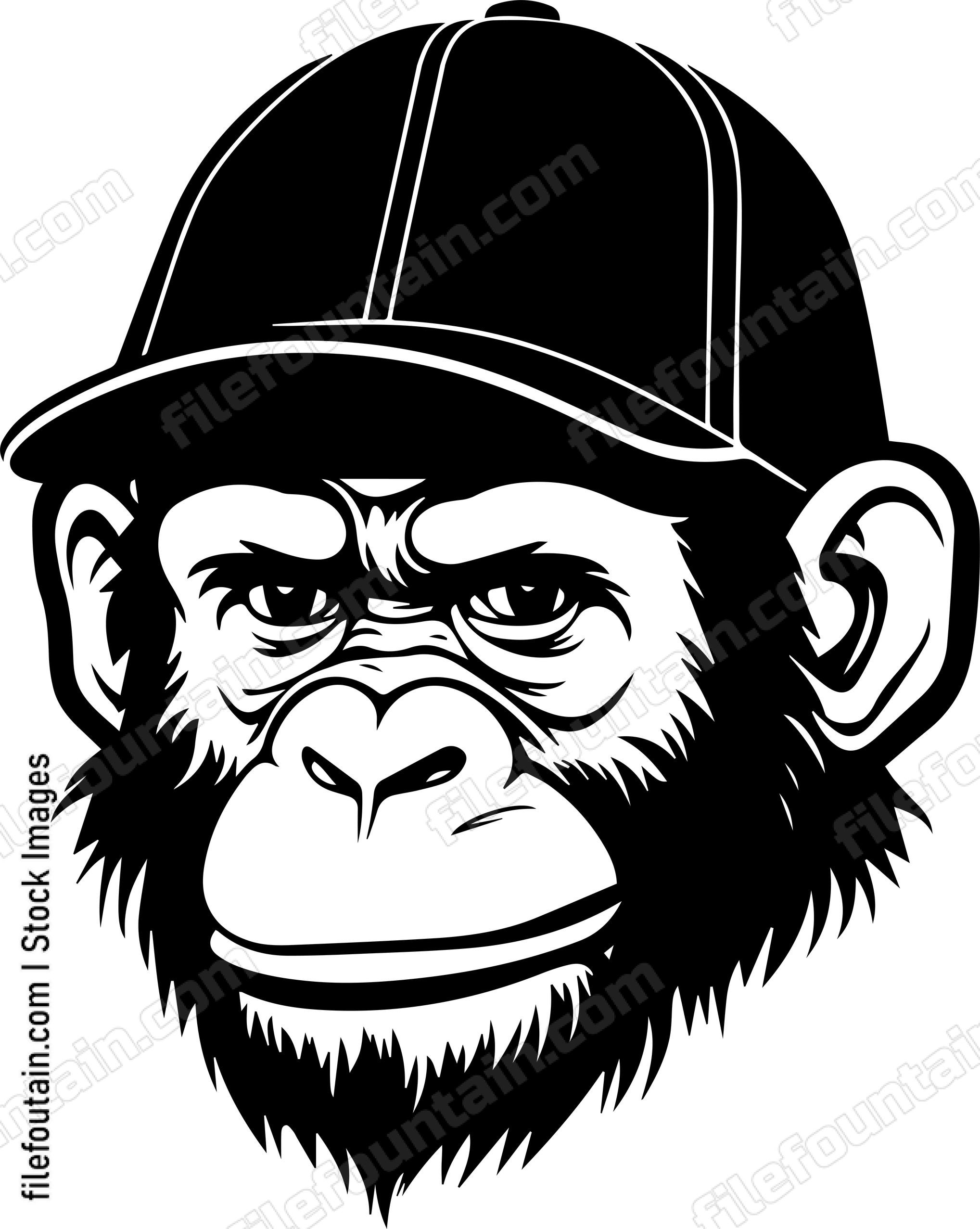 Monkey In Baseball Cap