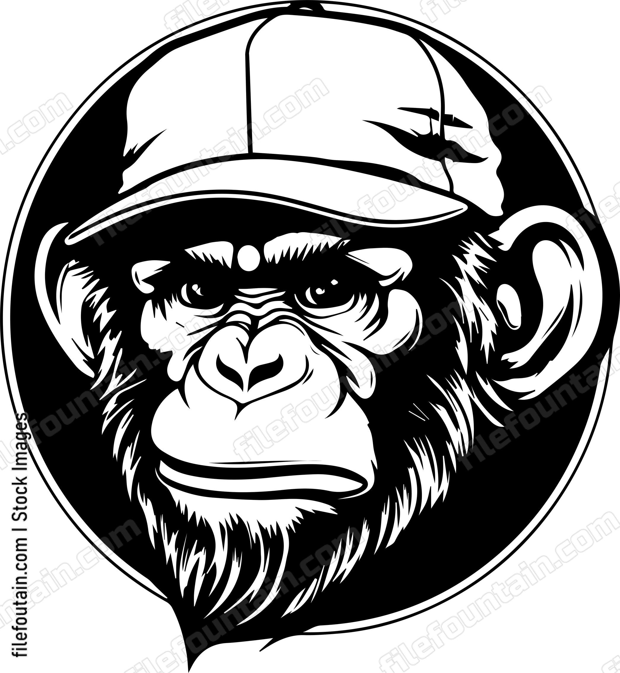 Monkey In Baseball Cap