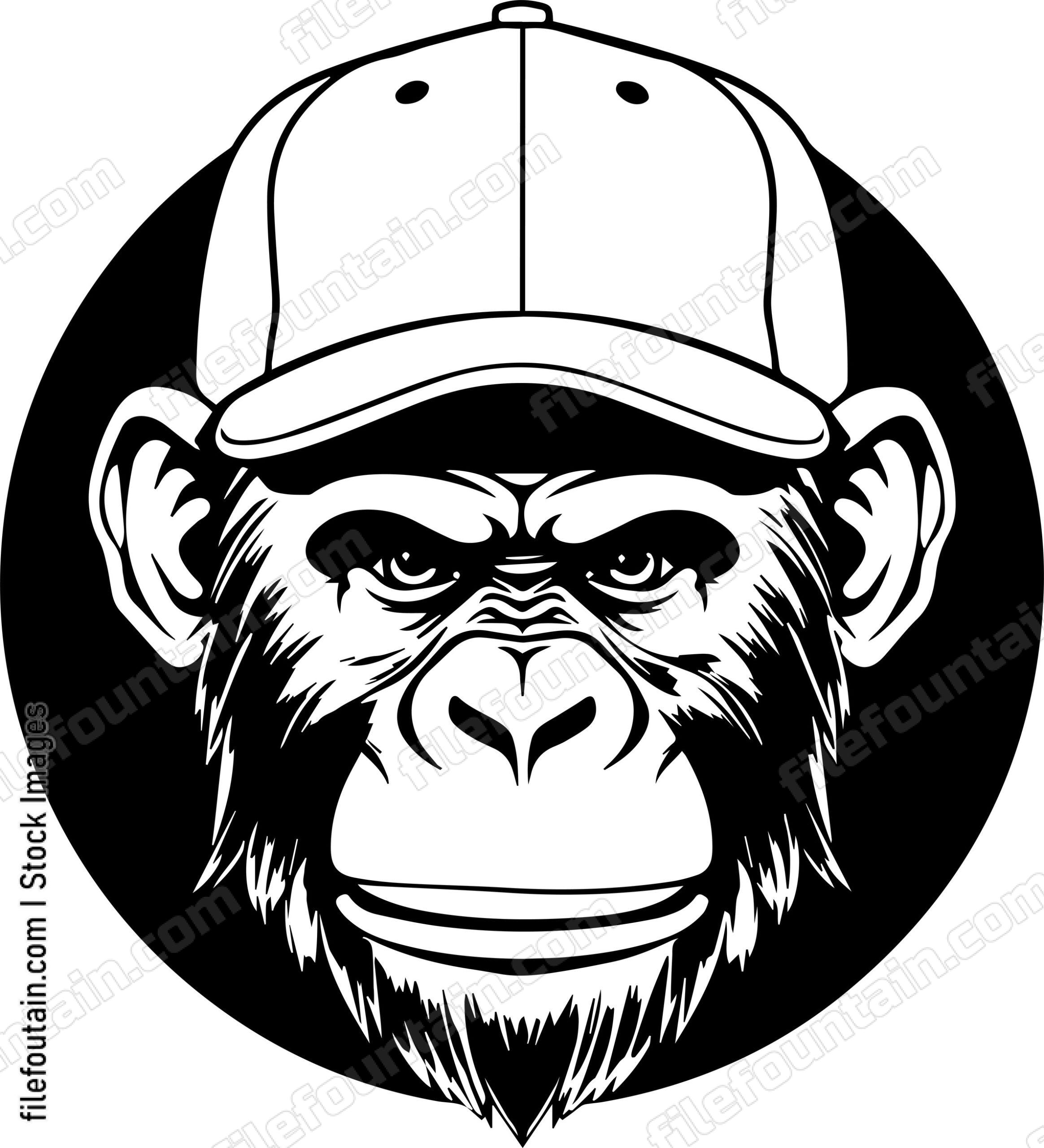 Monkey In Baseball Cap