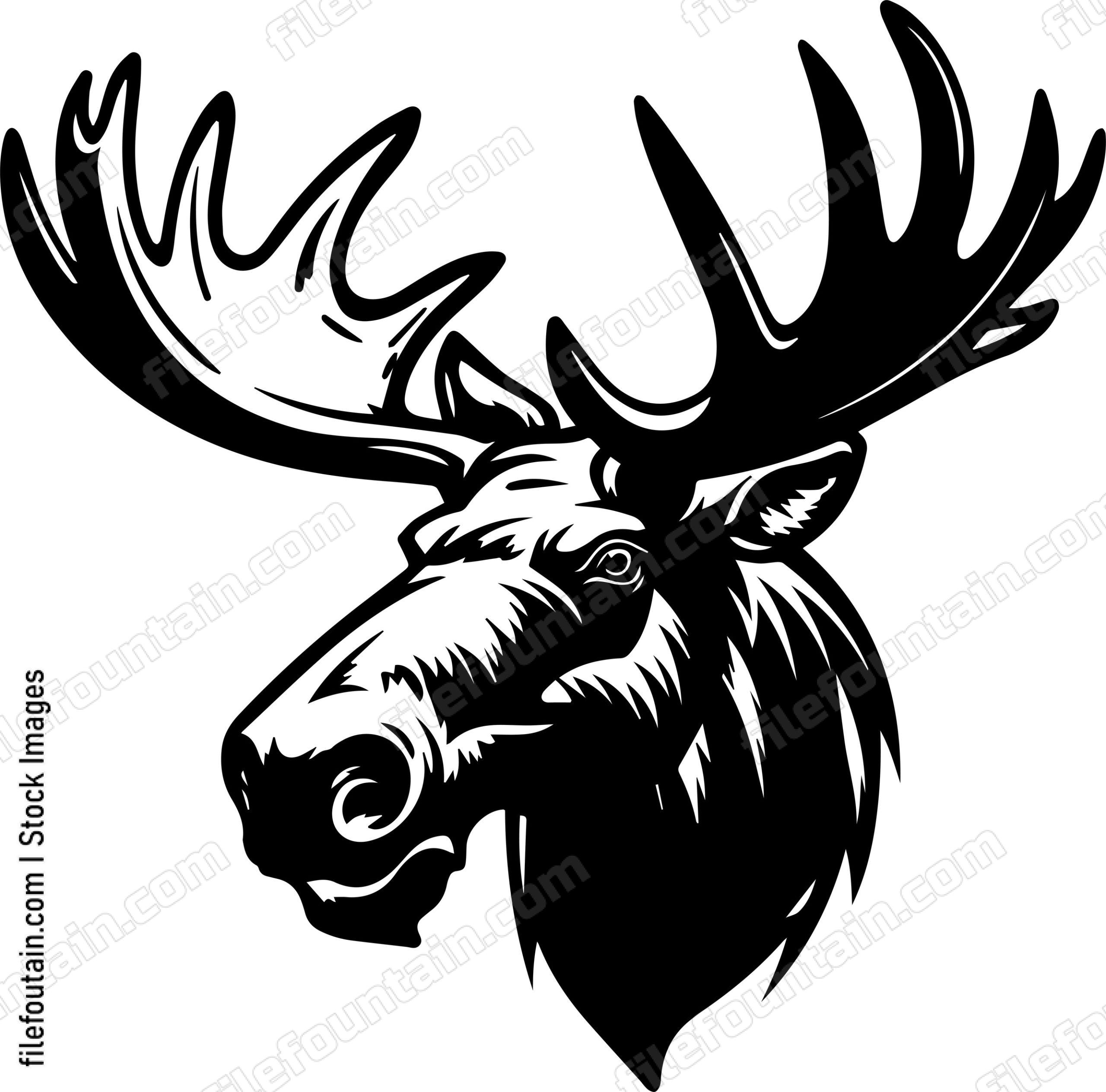 Moose