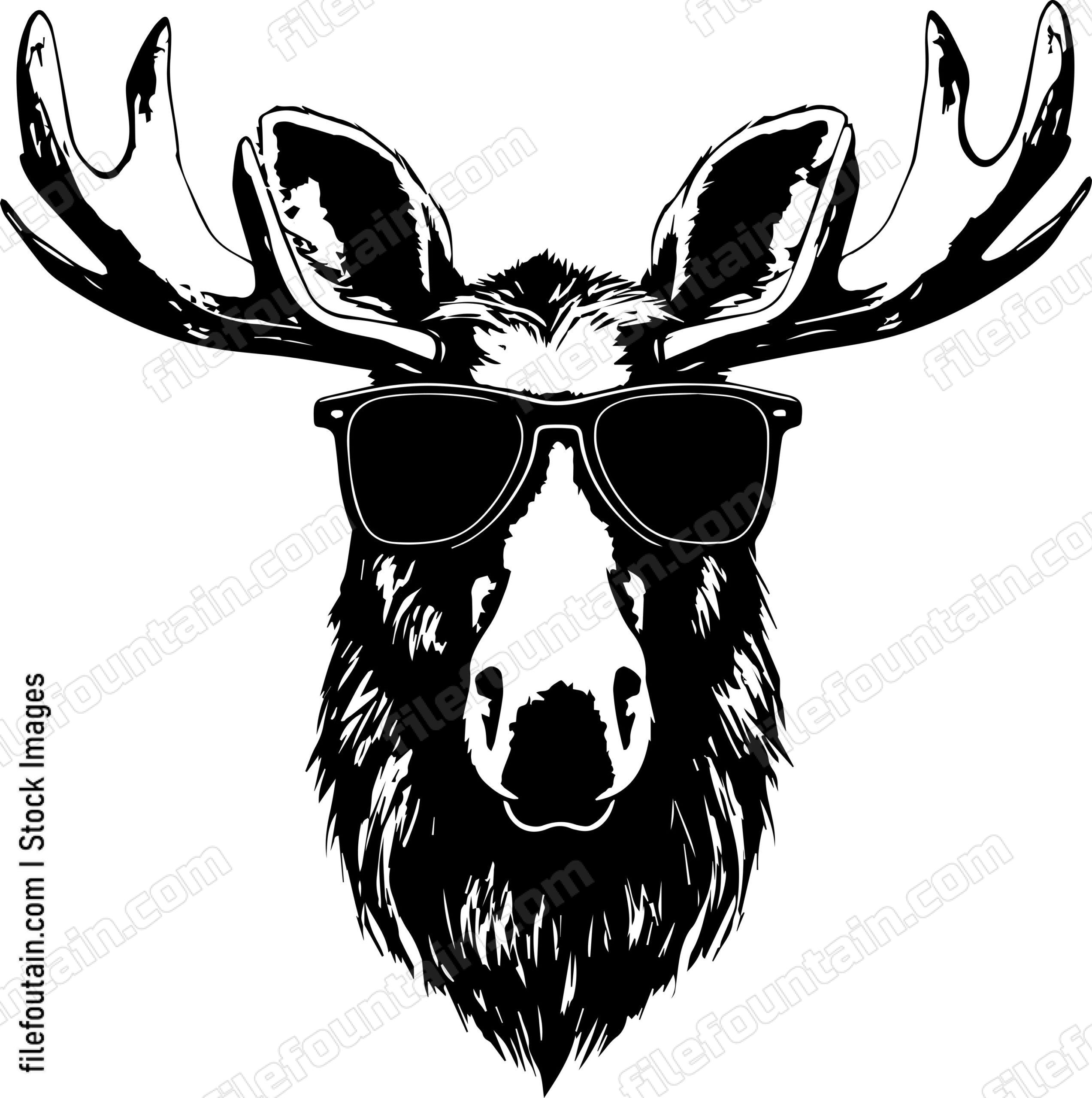 Moose In Sunglasses