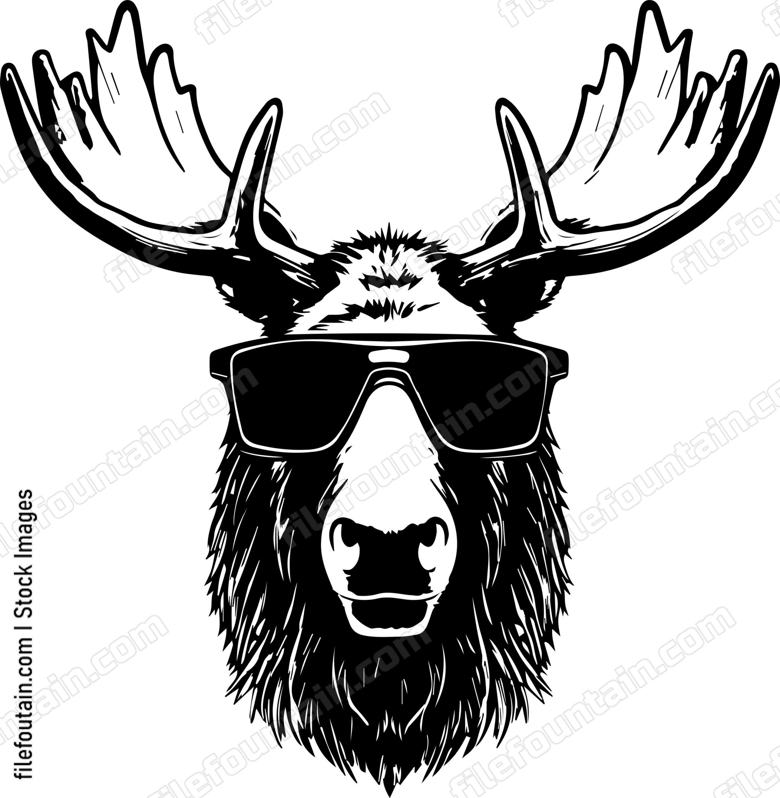 Moose In Sunglasses