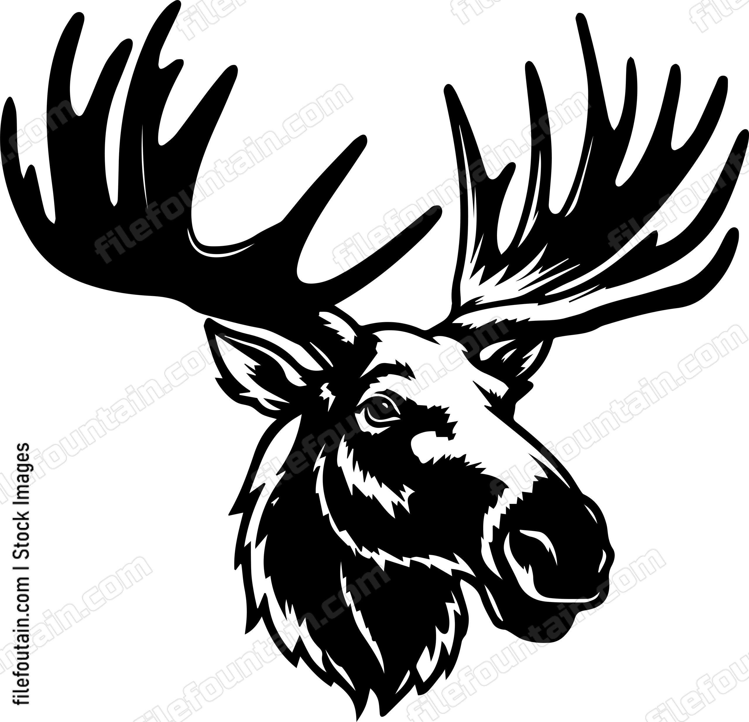Moose
