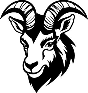 Mountain Goat
