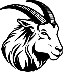 Mountain Goat
