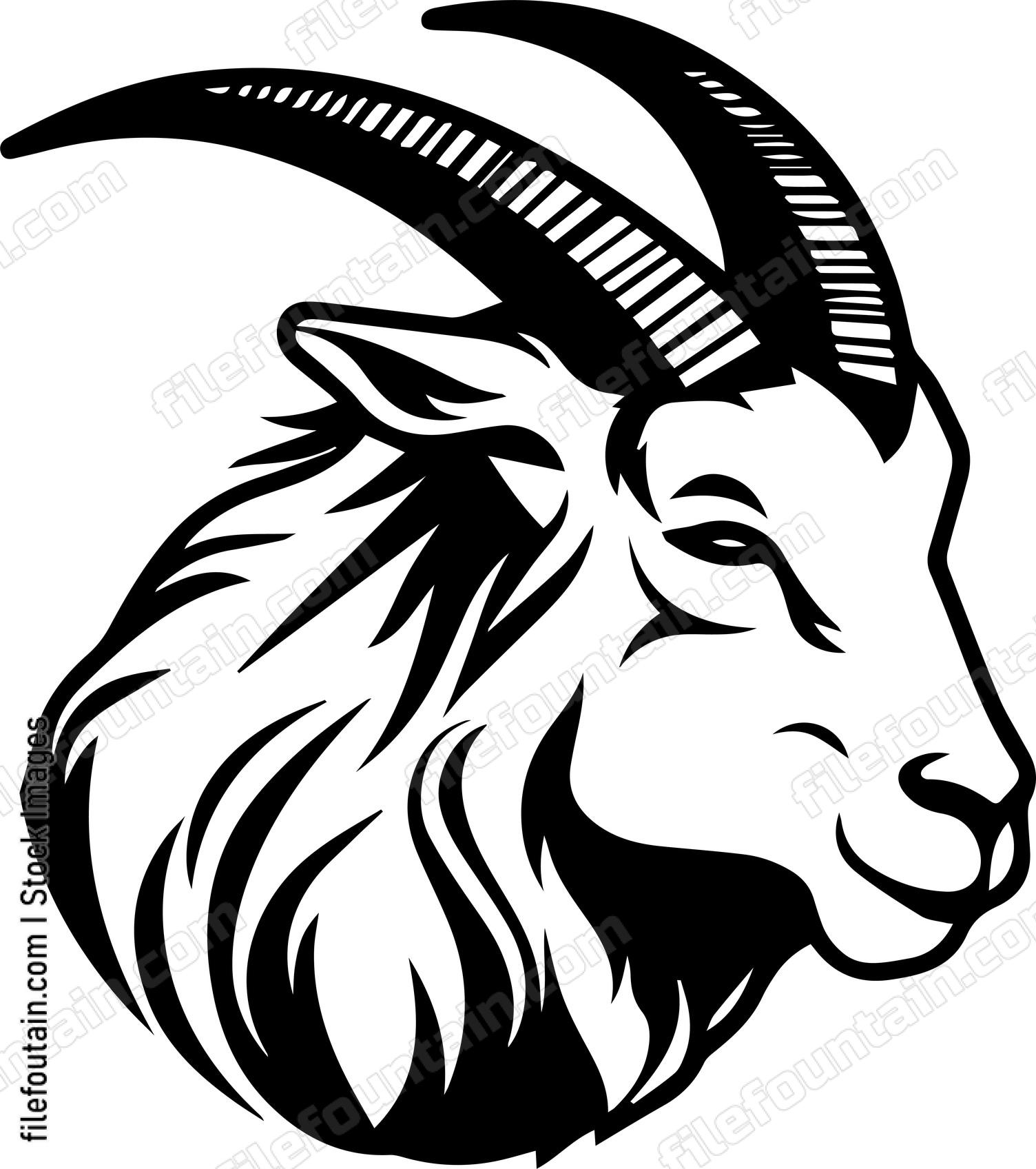 Mountain Goat
