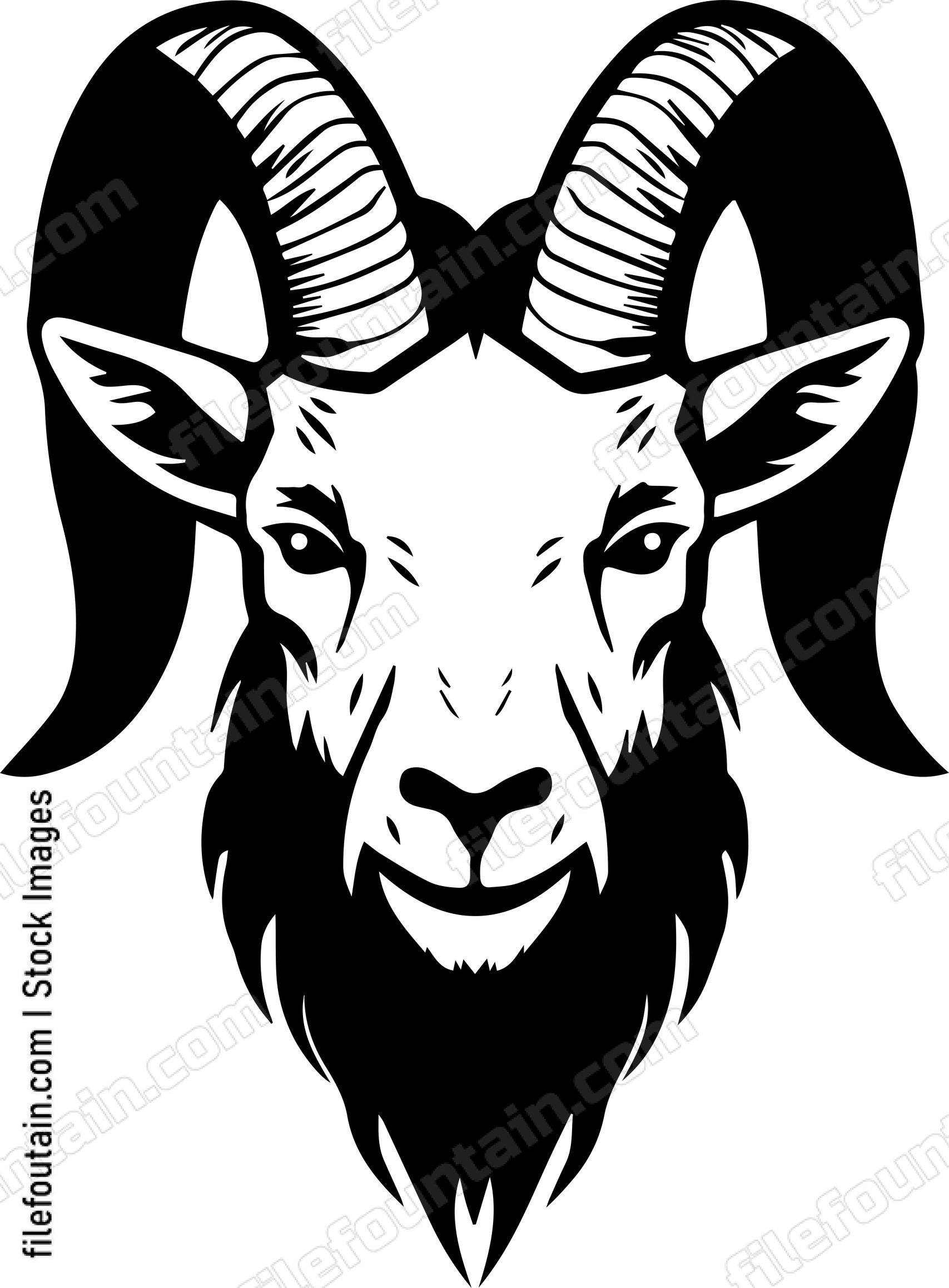 Mountain Goat