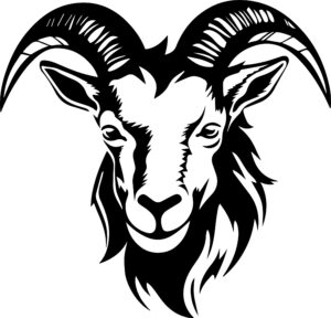 Mountain Goat
