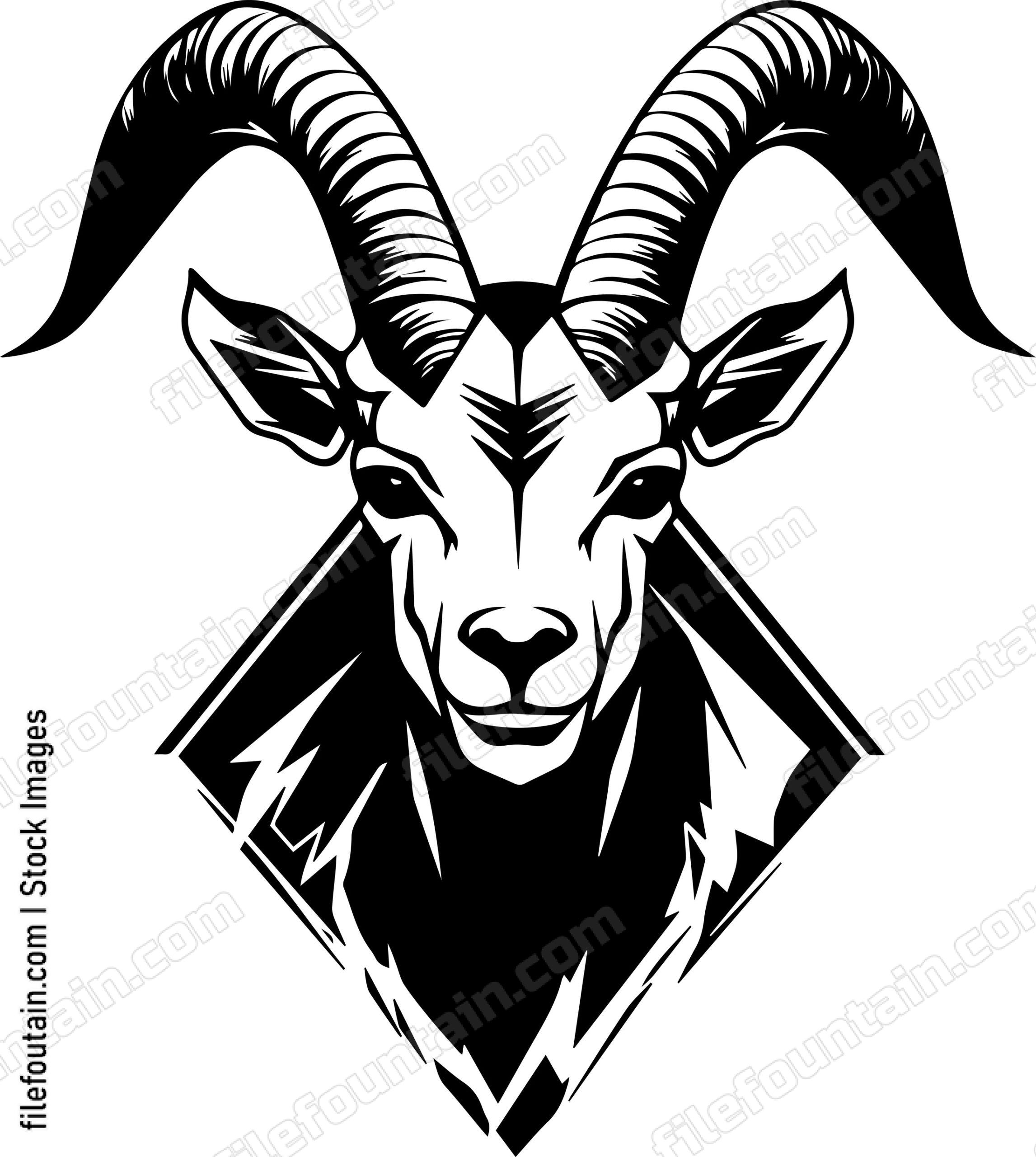 Mountain Goat