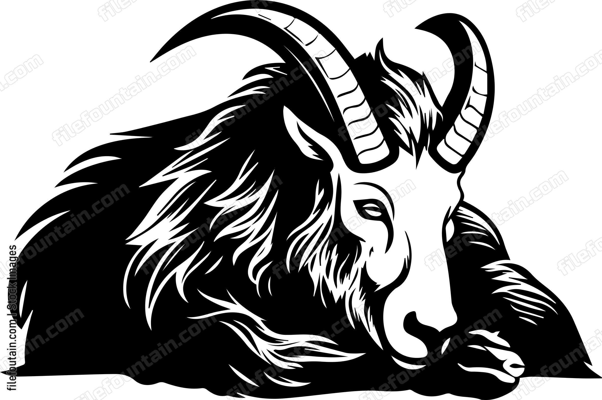 Mountain Goat Sleeping