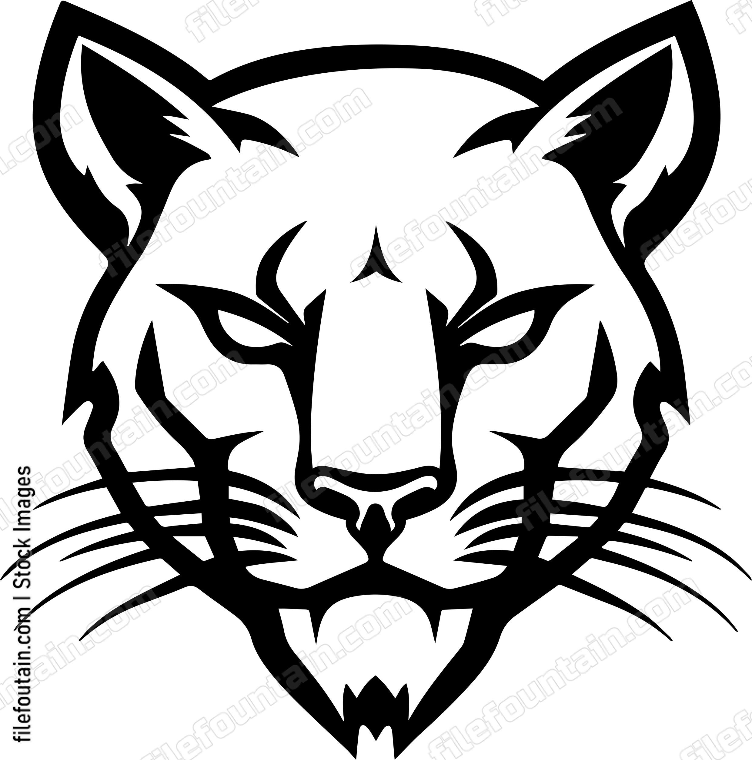 Mountain Lion