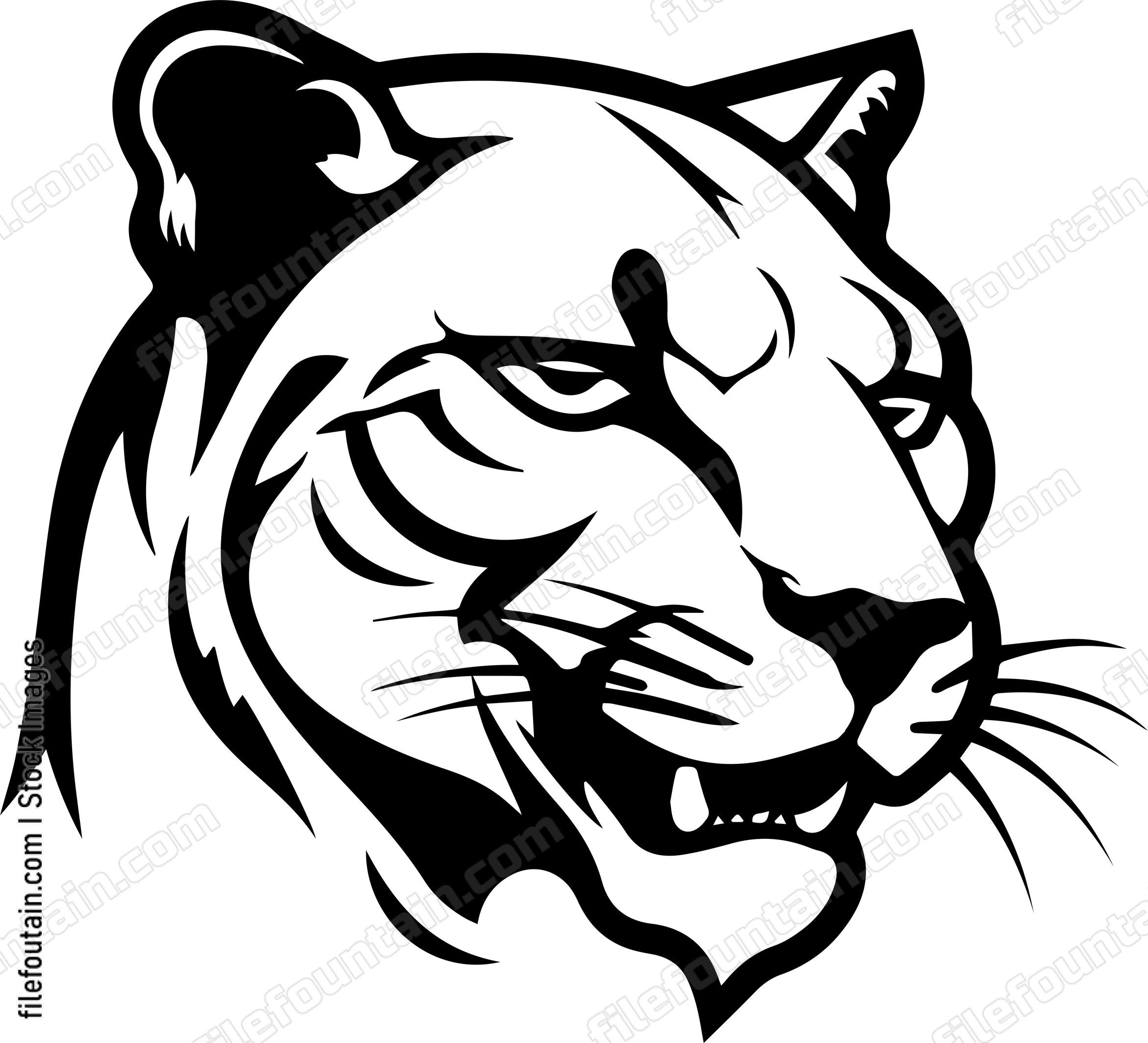 Mountain Lion