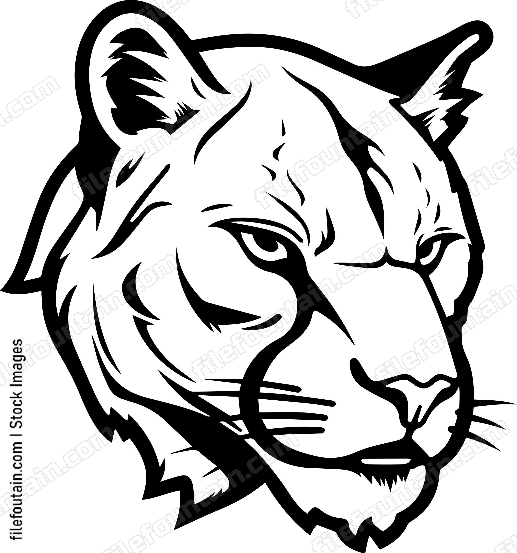 Mountain Lion