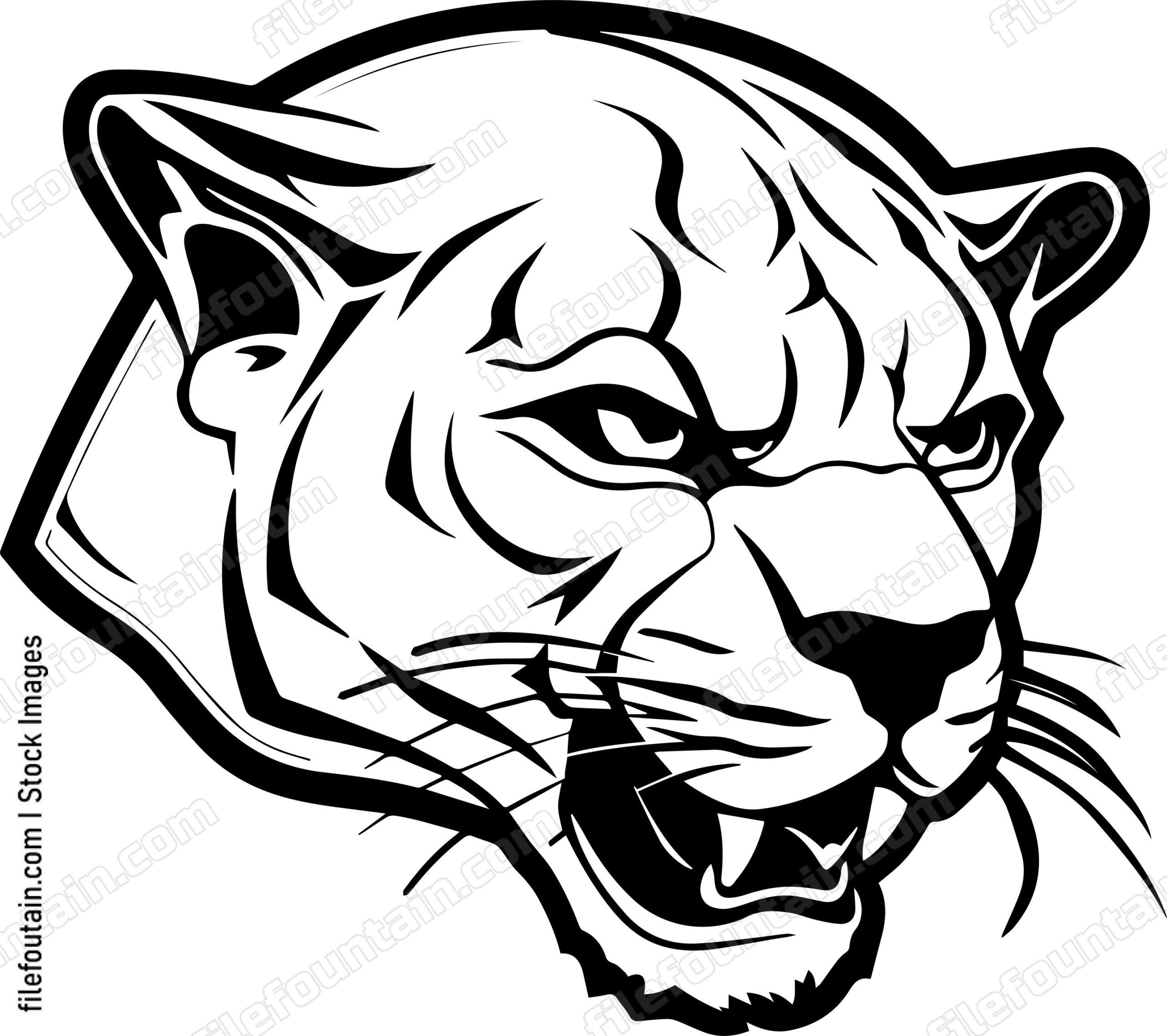 Mountain Lion