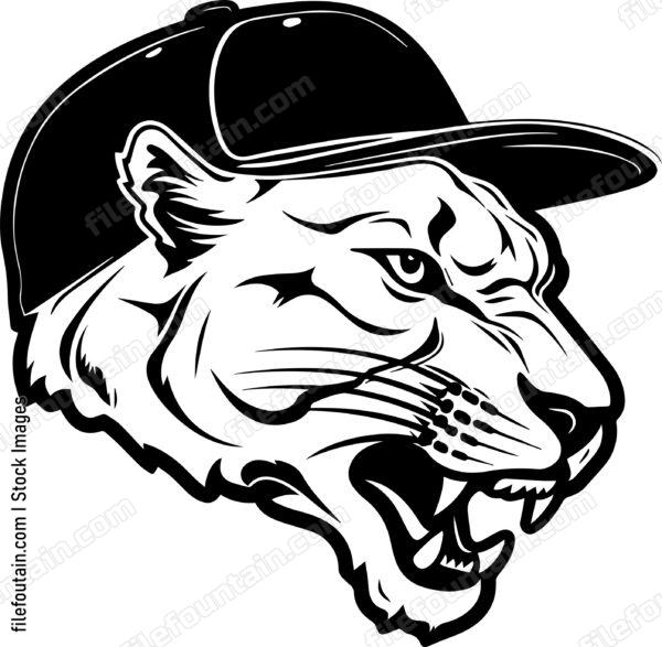 Mountain Lion In Baseball Cap