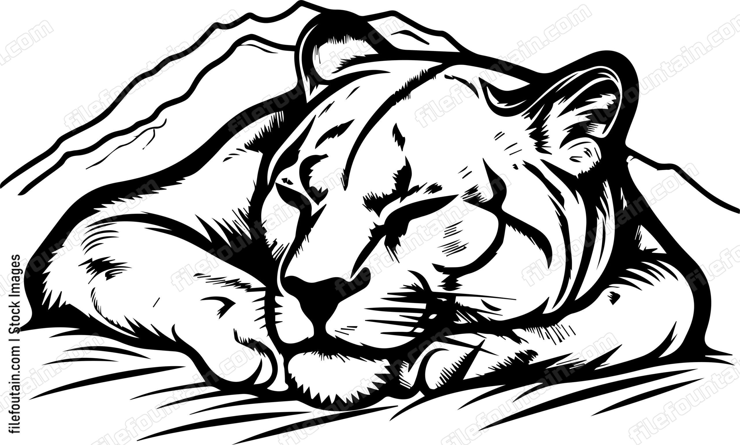 Mountain Lion Sleeping