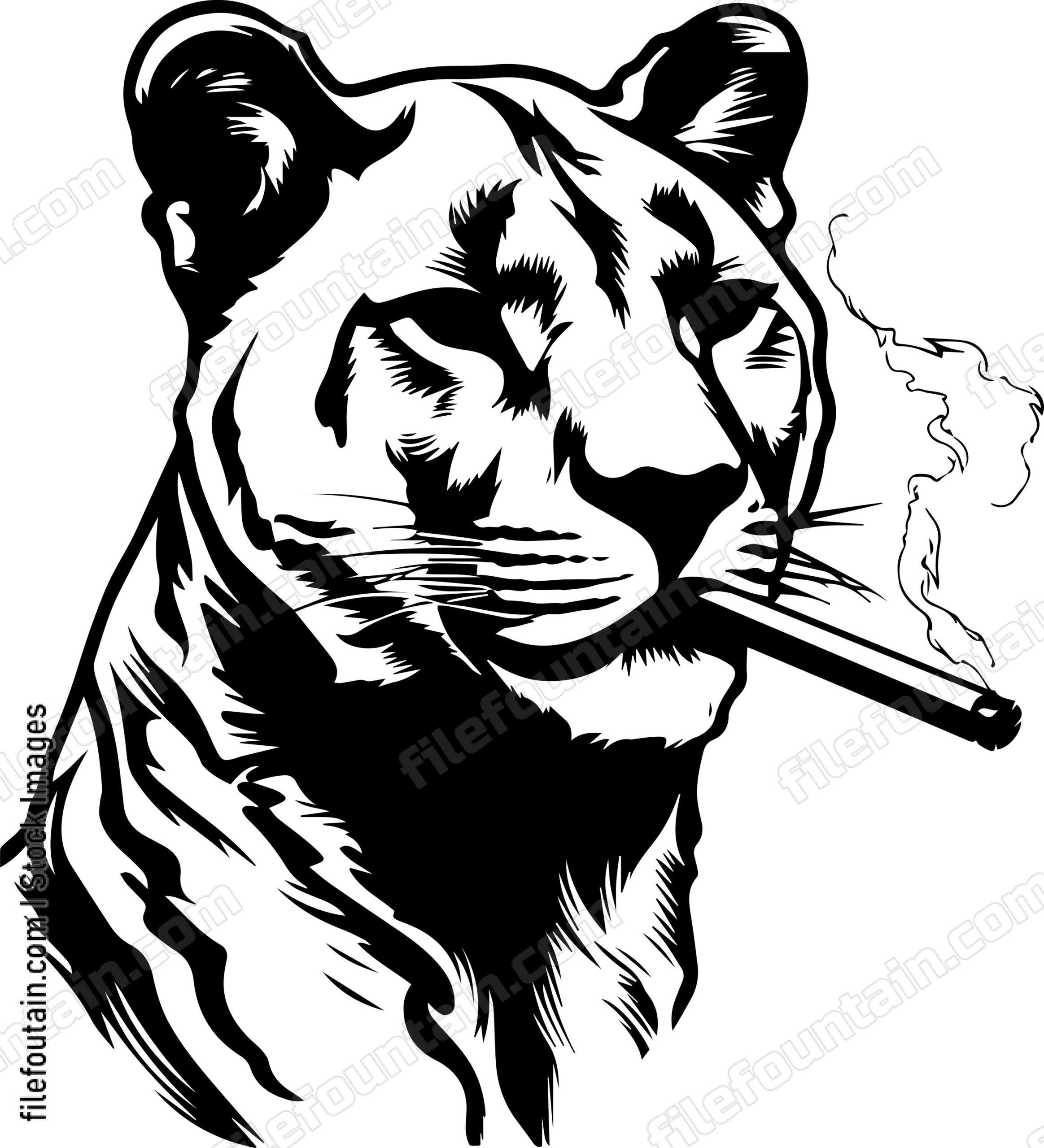 Mountain Lion Smoking A Cigar